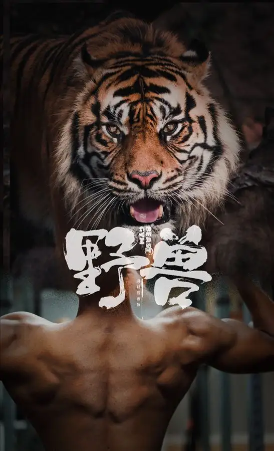 这是一家全员实现健身自由的设计公司---美林设计集团_10172_8.webp