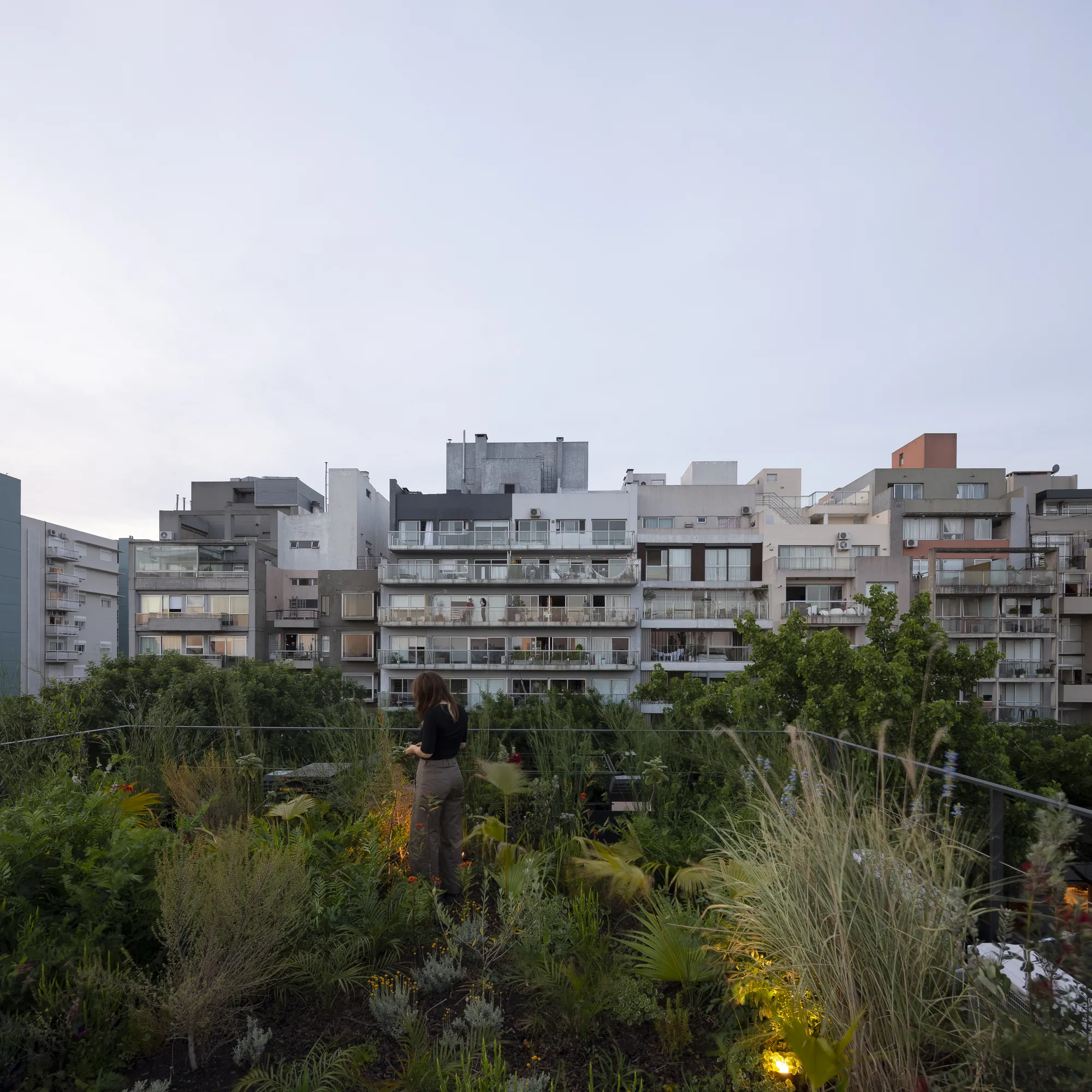Arévalo 扩建项目 Ana Smud   Daniel Zelcer_1179783_16.webp
