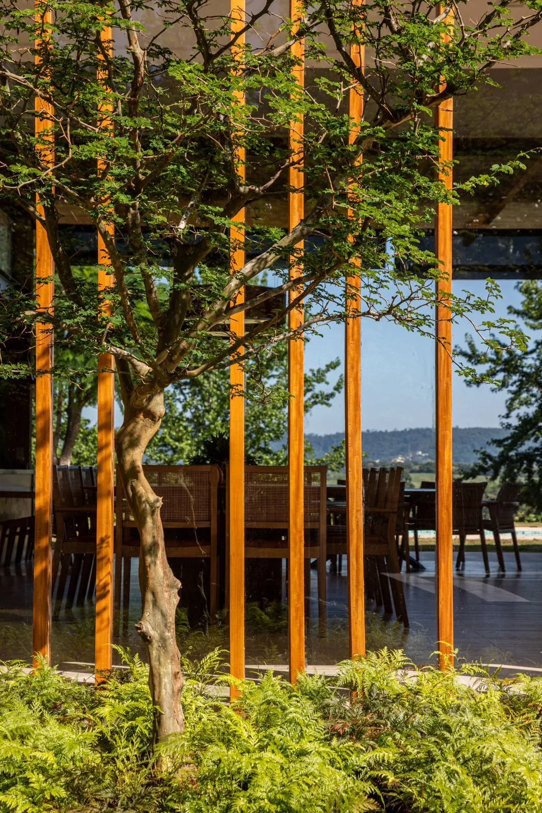 Baroneza 22 住宅 Gilda Meirelles Arquitetura_1170278_9.webp