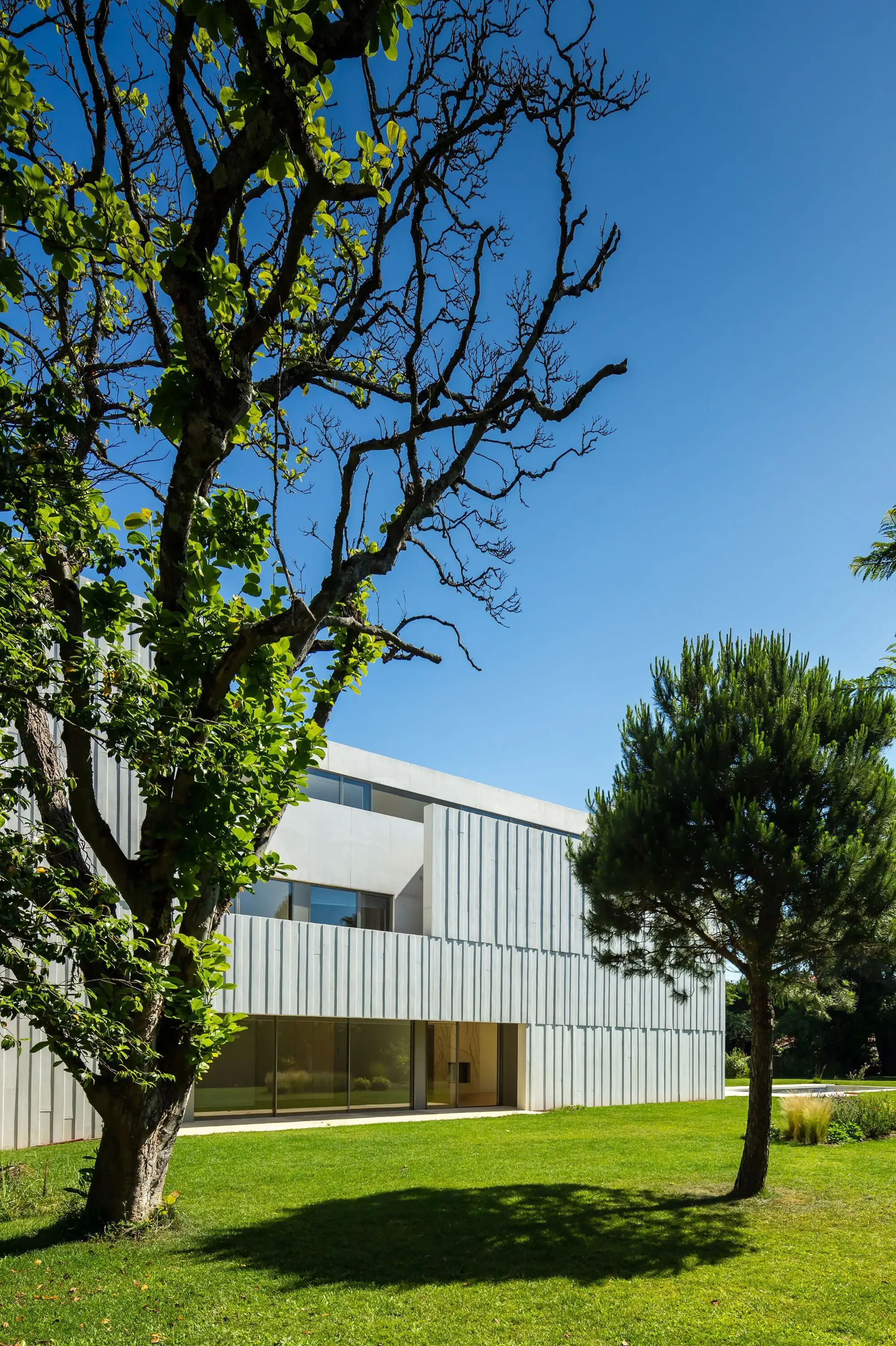 Boavista住宅 Topos Atelier de Arquitectura_1171555_7.webp
