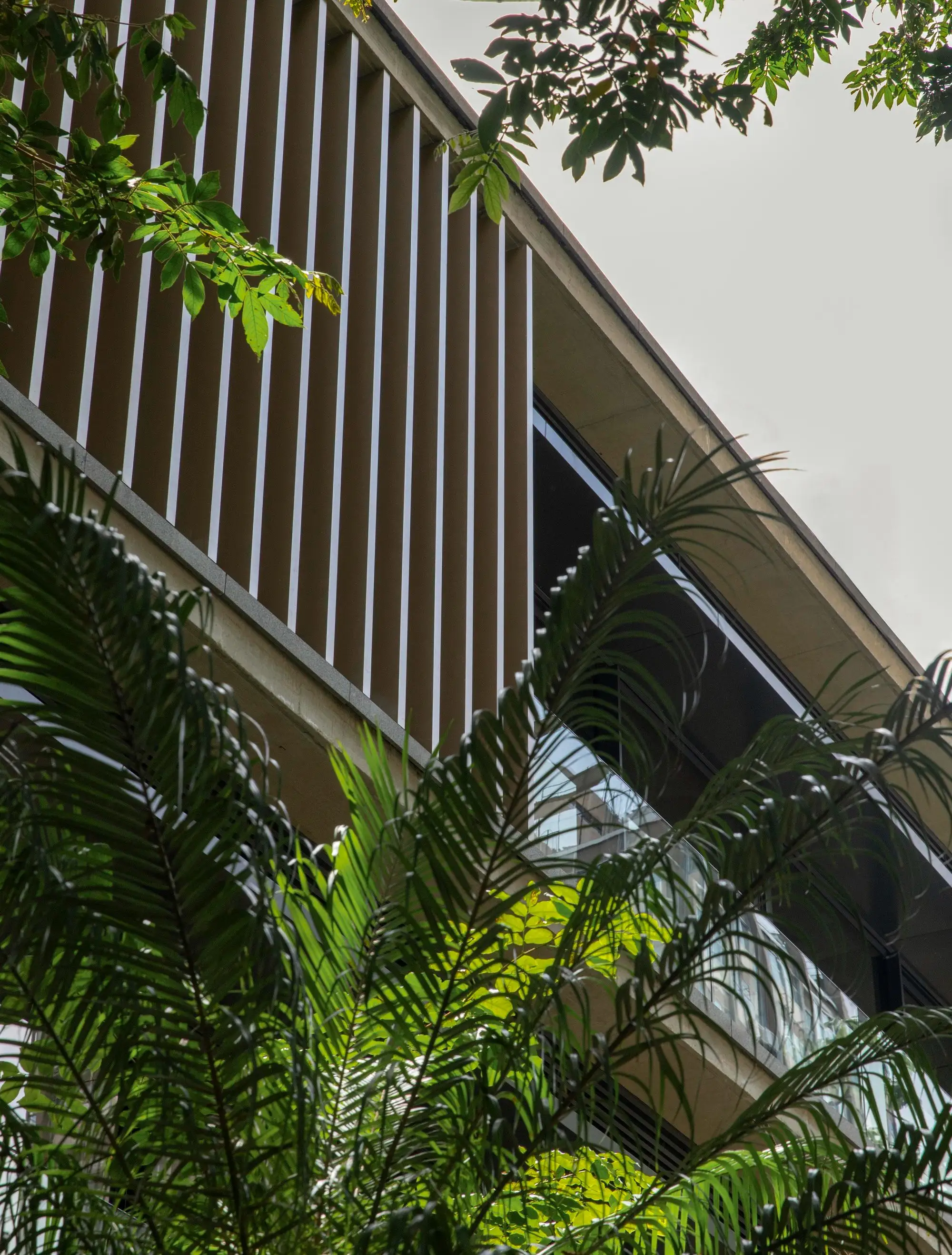 Bothanic Faria Lima 大楼 Del Bianco Arquitetos   AMZ Arquiteto_1185320_24.webp
