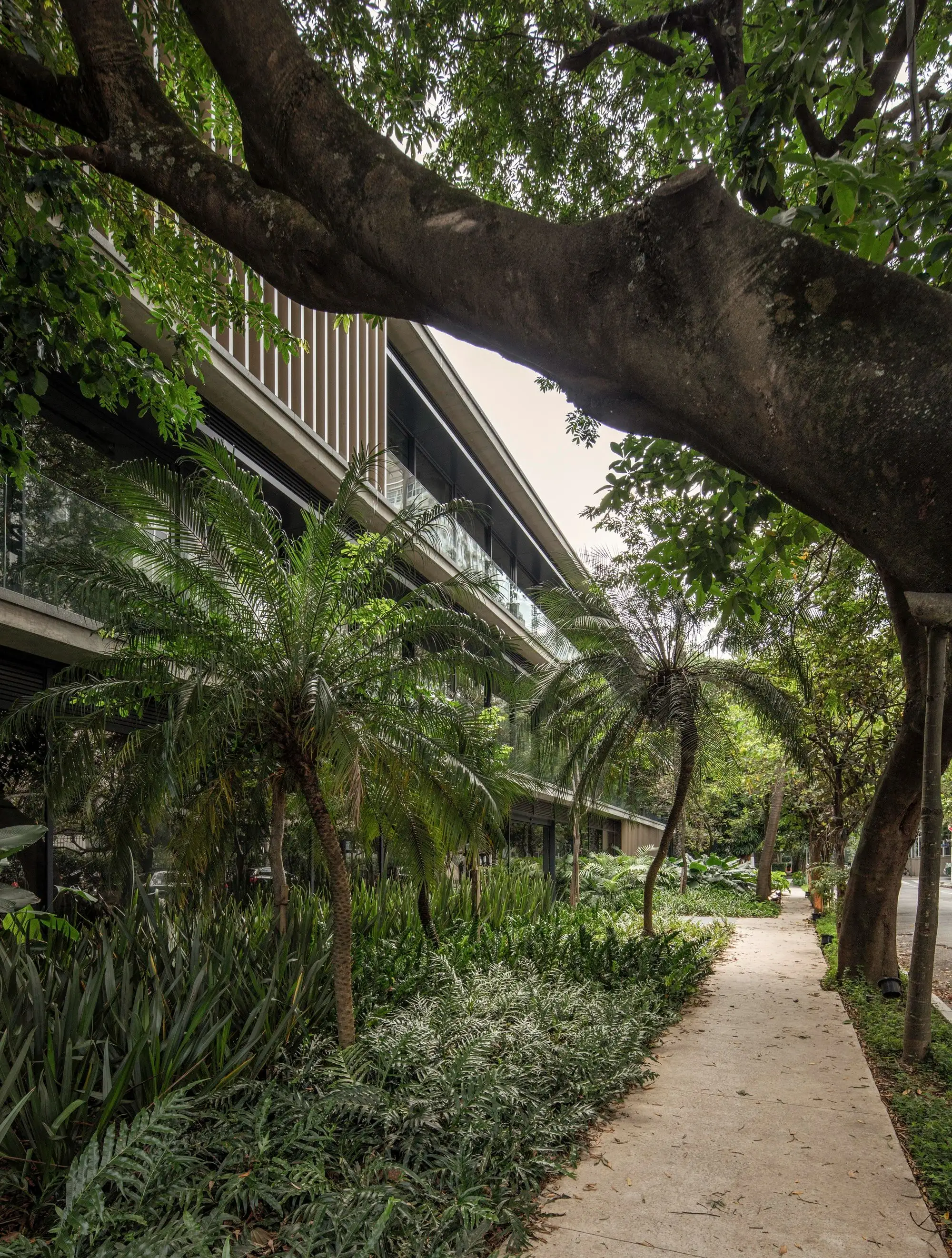 Bothanic Faria Lima 大楼 Del Bianco Arquitetos   AMZ Arquiteto_1185320_29.webp