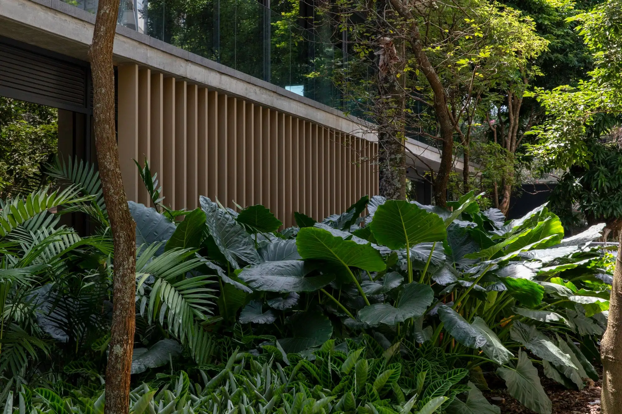 Bothanic Faria Lima 大楼 Del Bianco Arquitetos   AMZ Arquiteto_1185320_30.webp