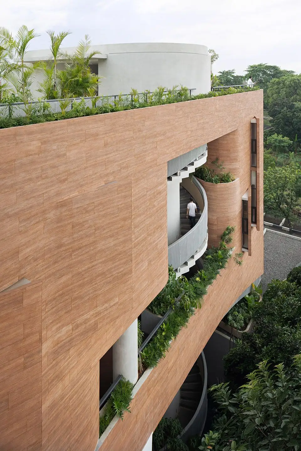Sagehaus办公花园，印度尼西亚 RAD ar_14.webp
