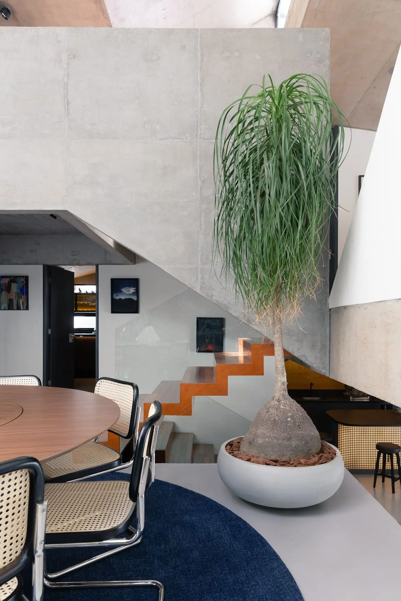 Casa 275 住宅改造 IN arq design_1174062_17.webp