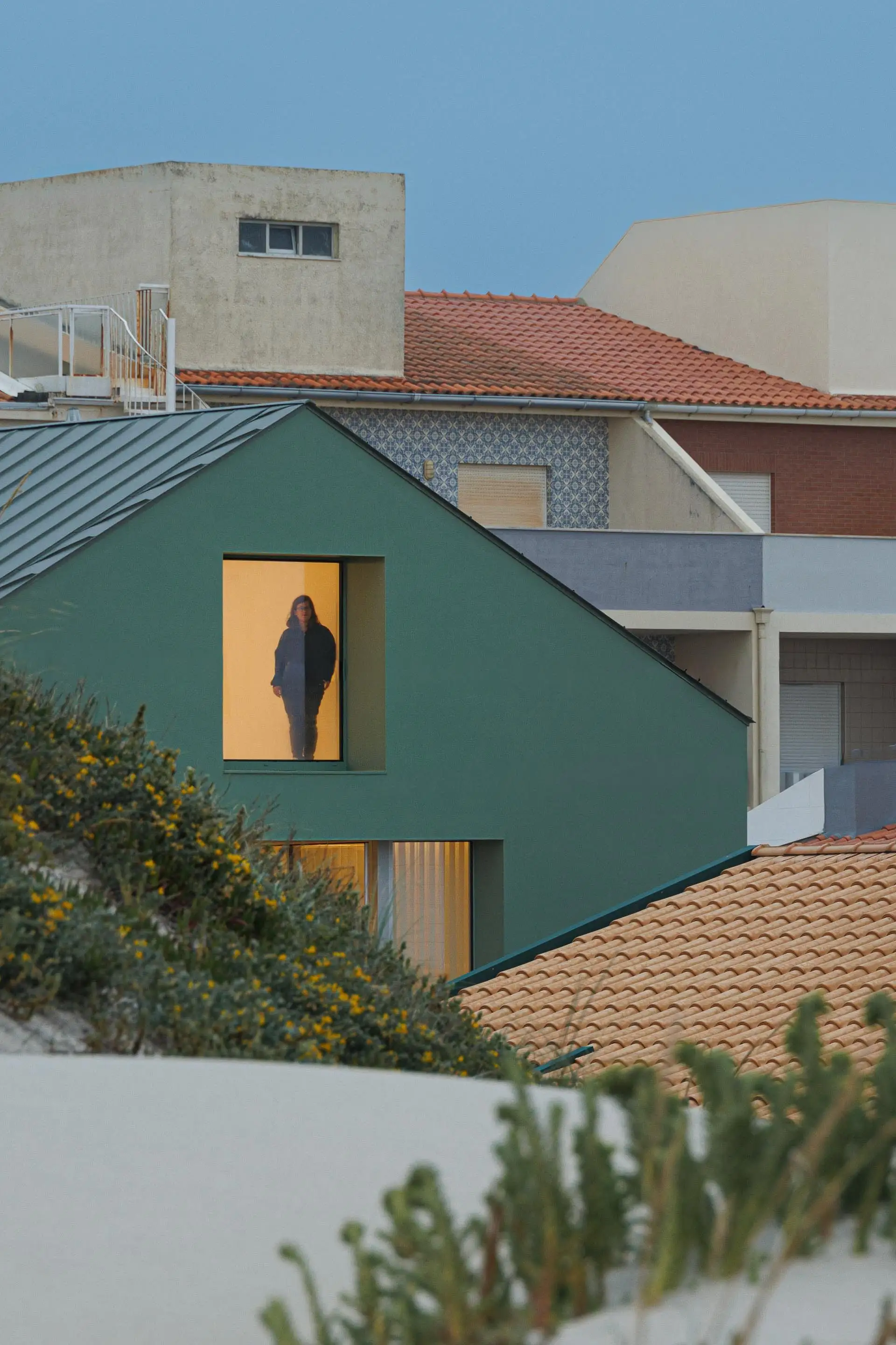 Casa Verde M2 Senos Arquitectos_1183924_30.webp