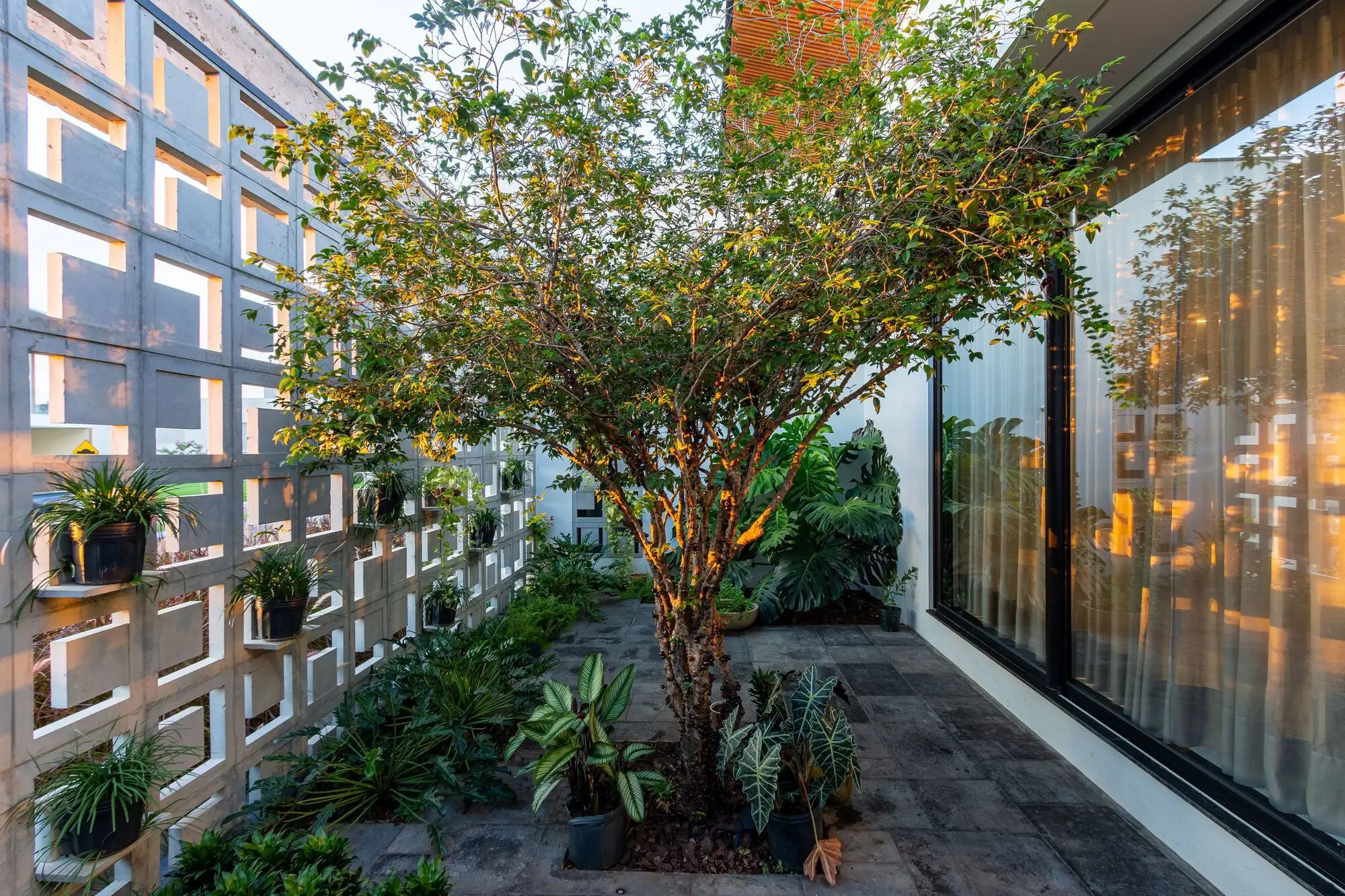 Casa Verde 住宅 AC ARQUITETURA_1176399_13.webp