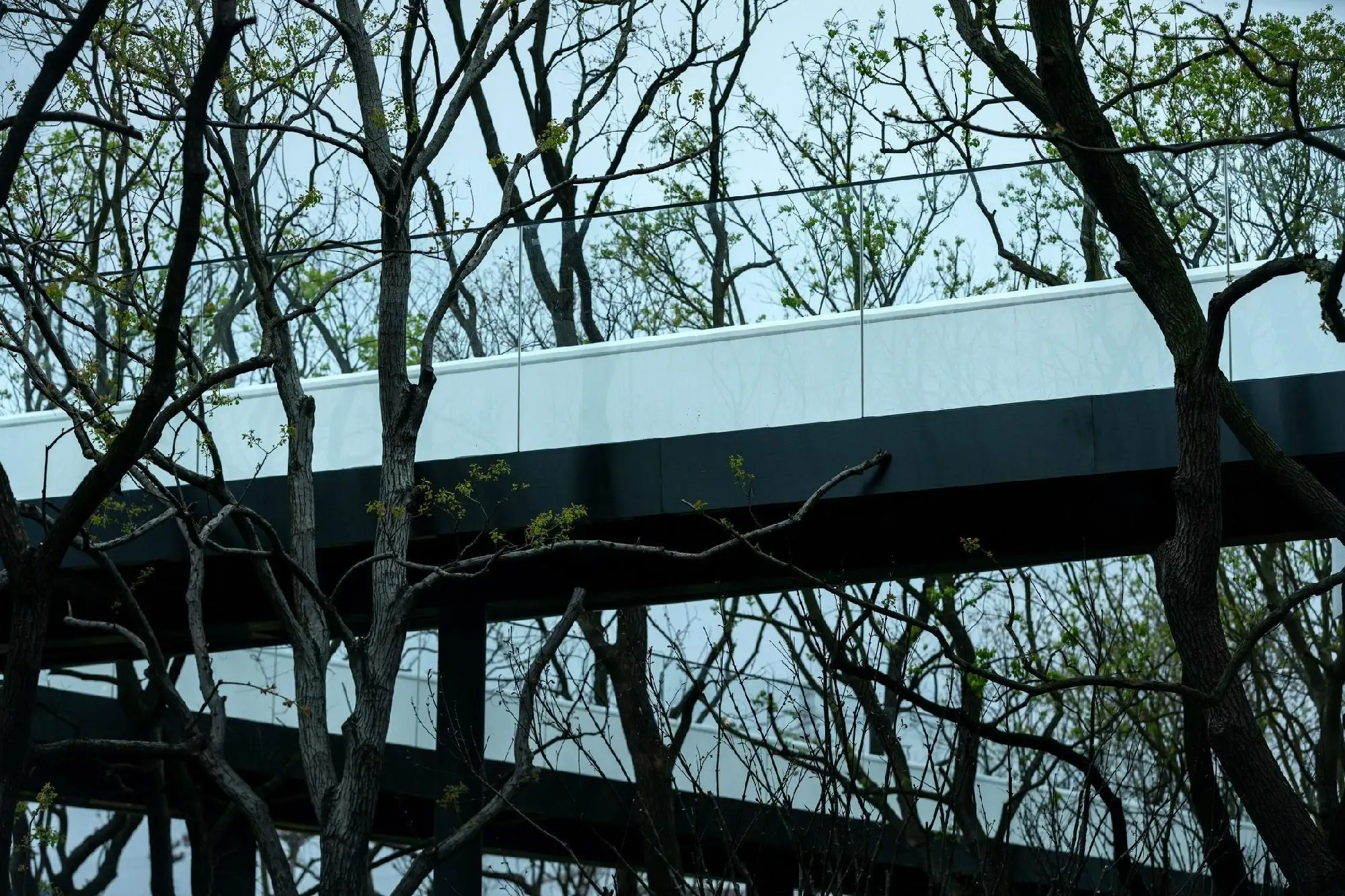 【案例】重庆龙湖2020年度头号示范区_6563_19.webp