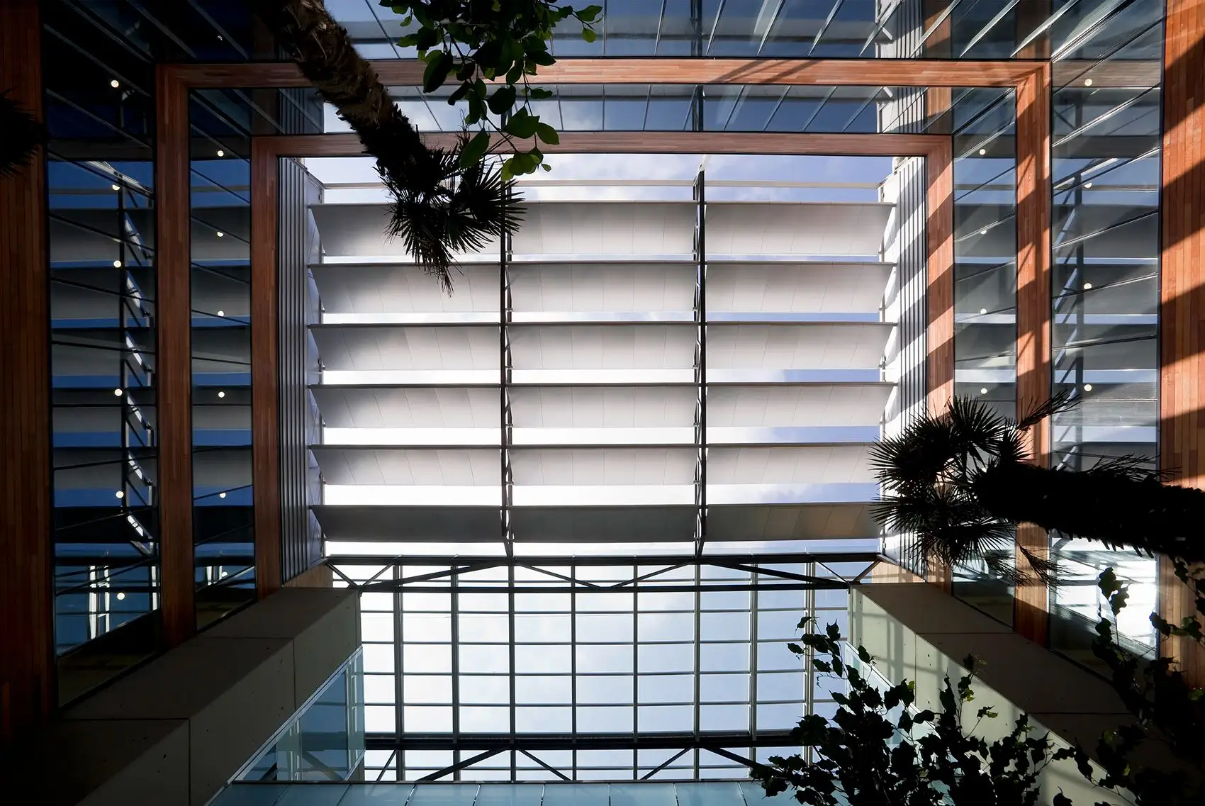 世贸中心阿尔梅达园区办公楼，巴塞罗那 Mateo Arquitectura_10.webp