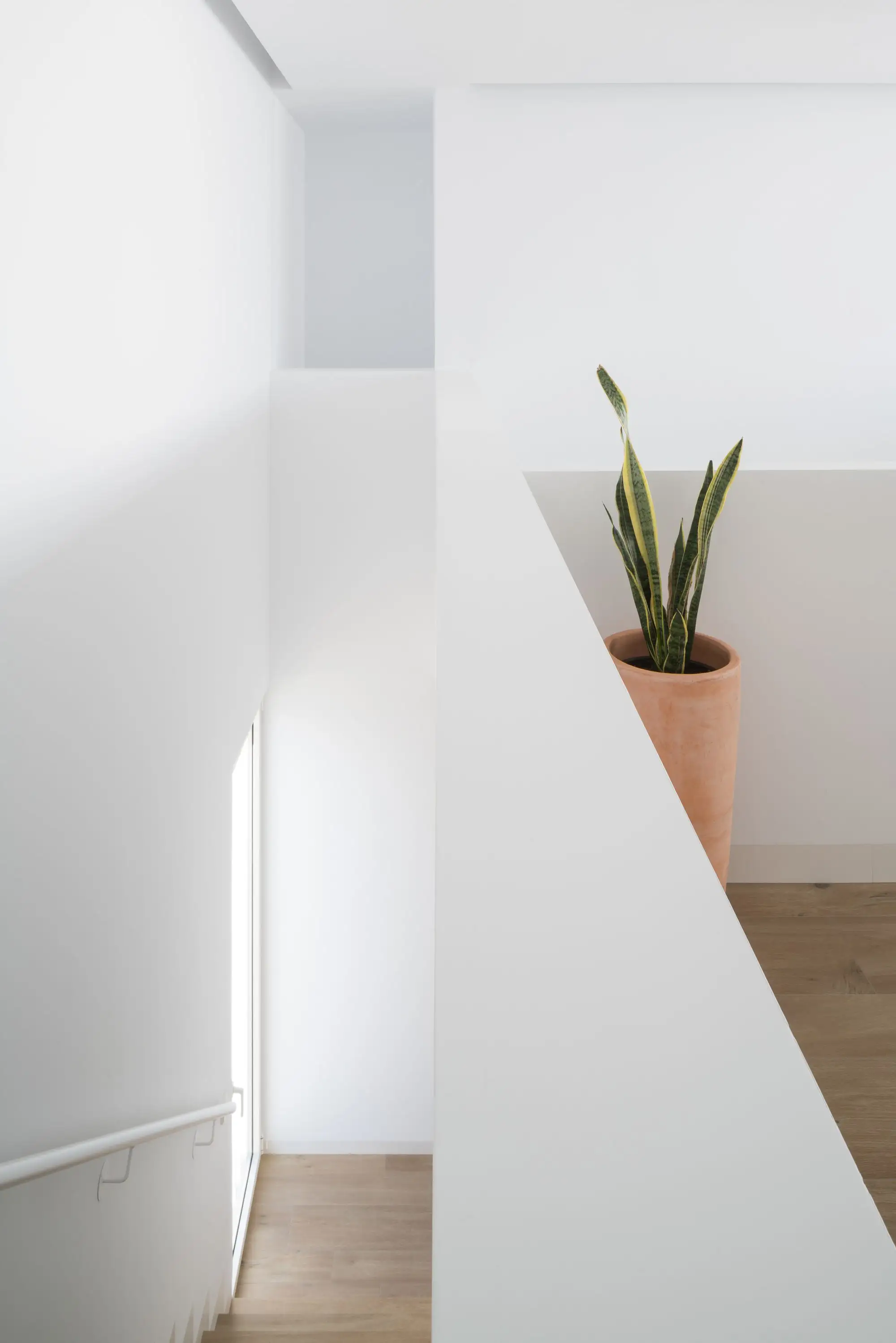 ChipChop 住宅 David Ruiz Molina_1176329_17.webp