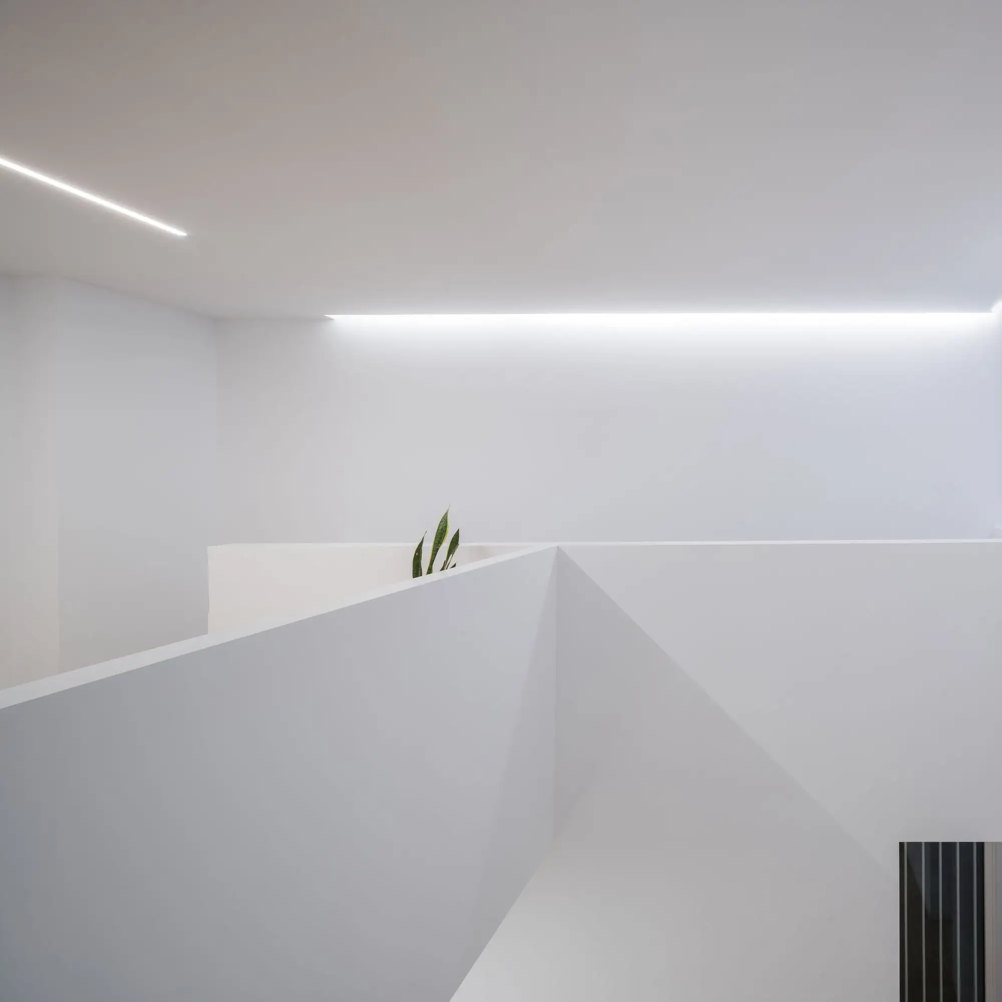 ChipChop 住宅 David Ruiz Molina_1176329_7.webp