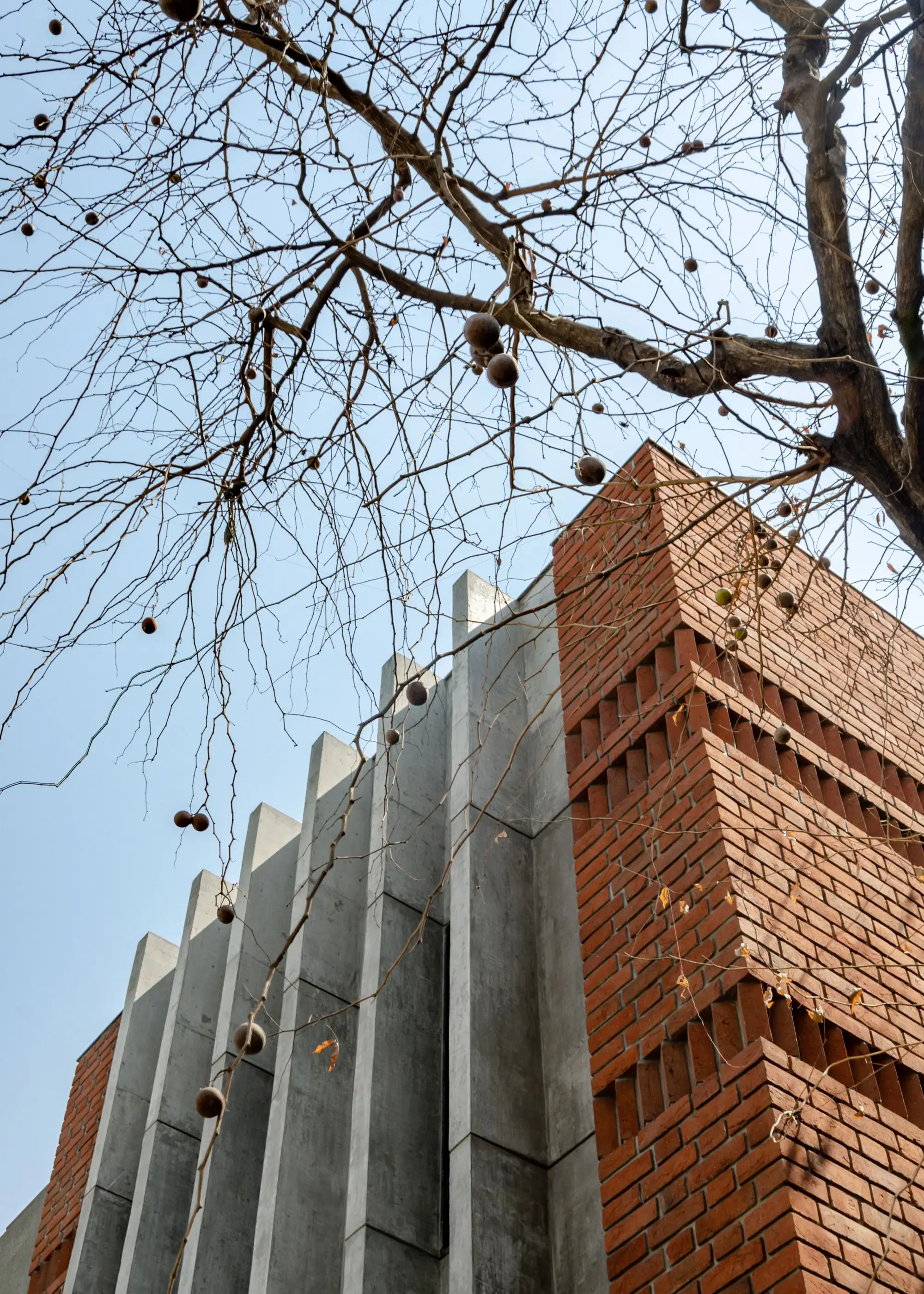 CHITRAKUT 住宅 AANGAN Architects_1172305_18.webp