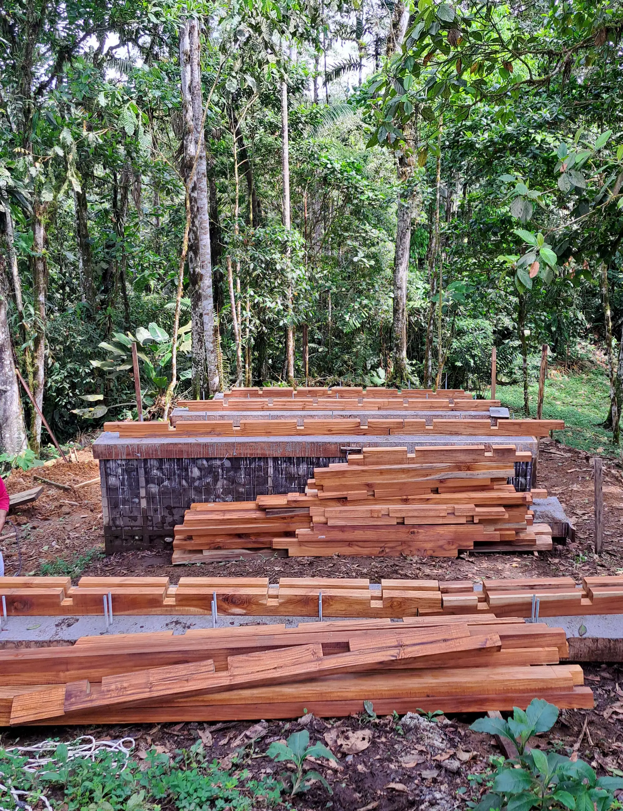 Chocó Pambil 避难所 Minqa Atelier_1183632_14.webp