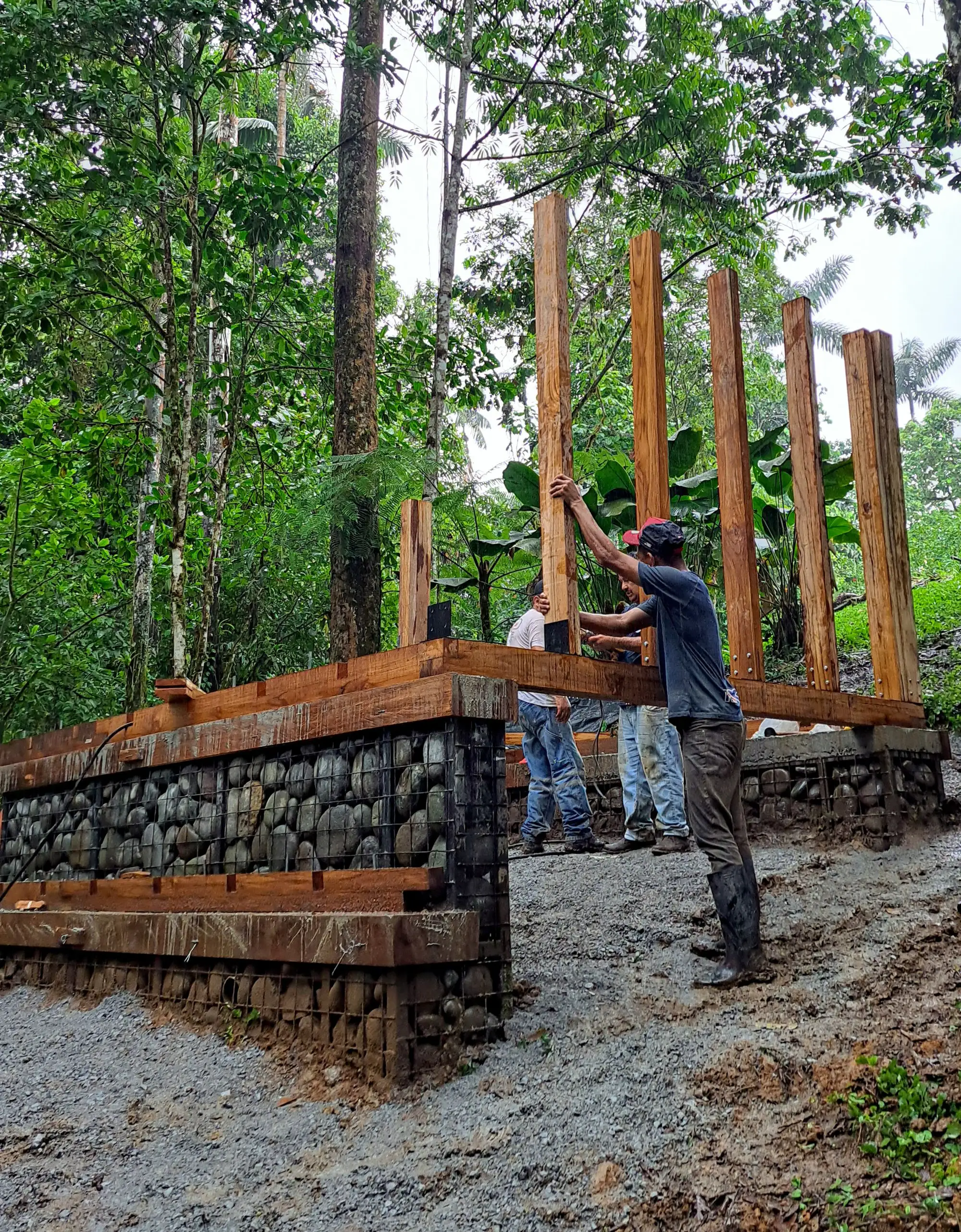 Chocó Pambil 避难所 Minqa Atelier_1183632_15.webp