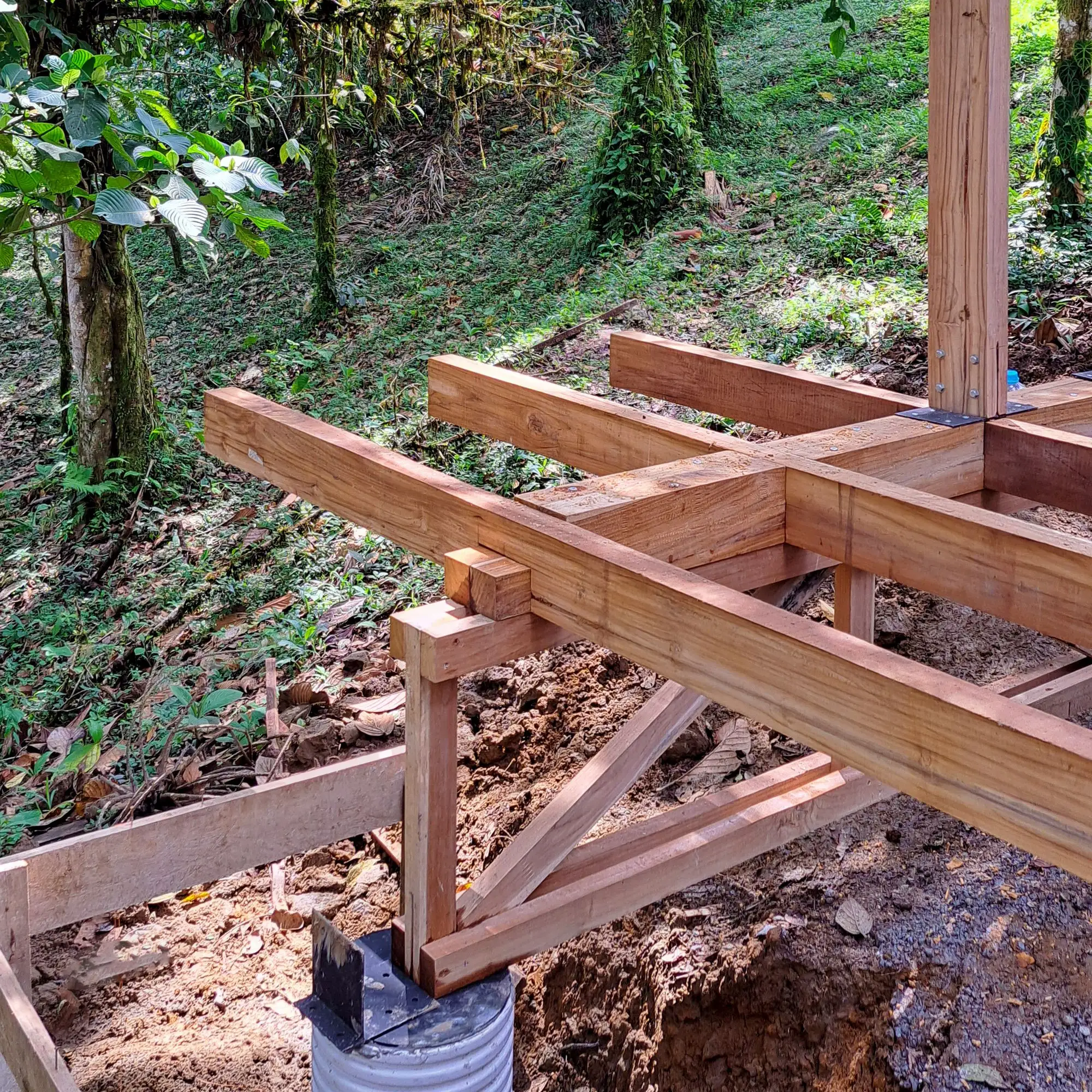 Chocó Pambil 避难所 Minqa Atelier_1183632_16.webp