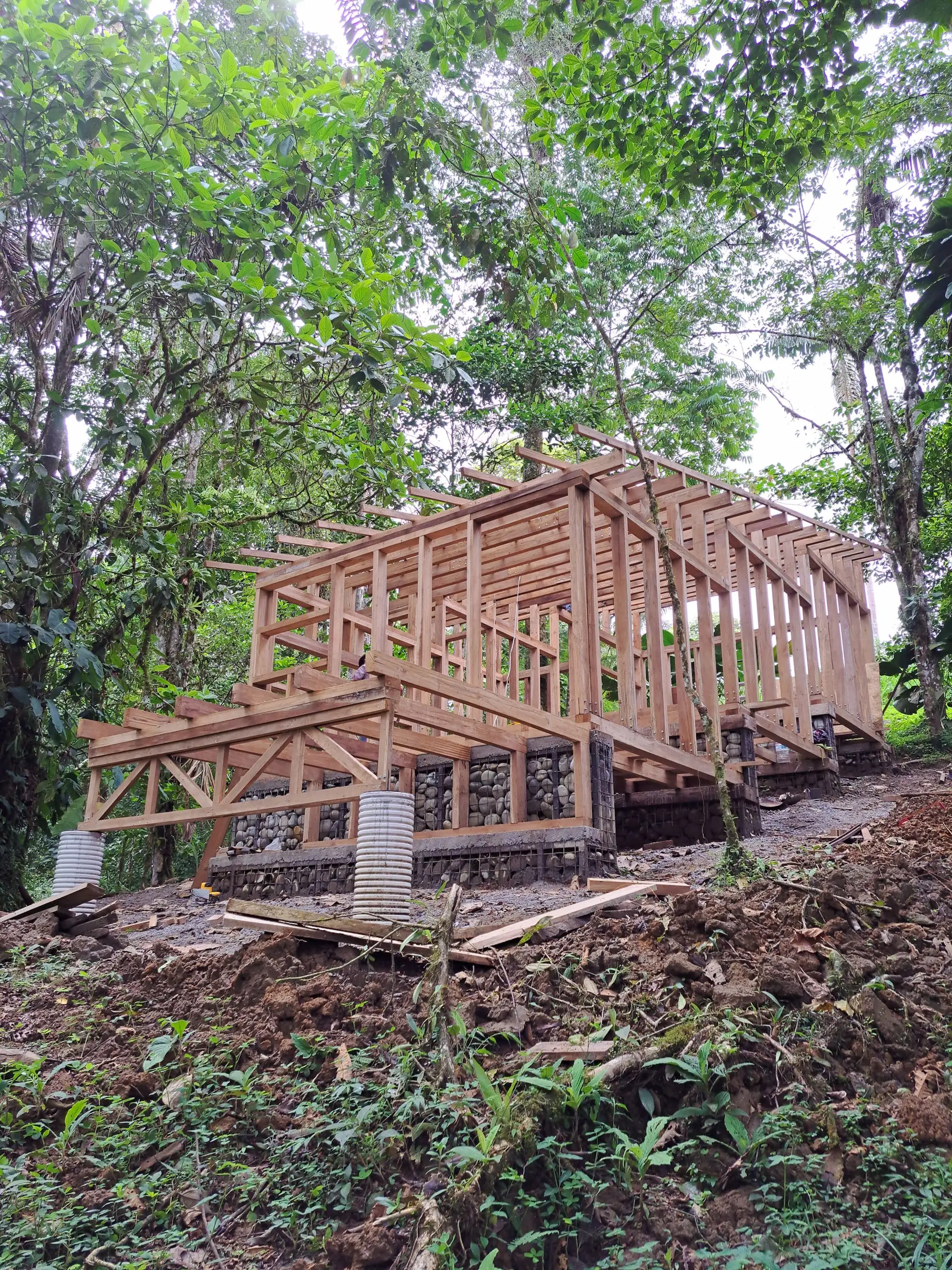 Chocó Pambil 避难所 Minqa Atelier_1183632_19.webp