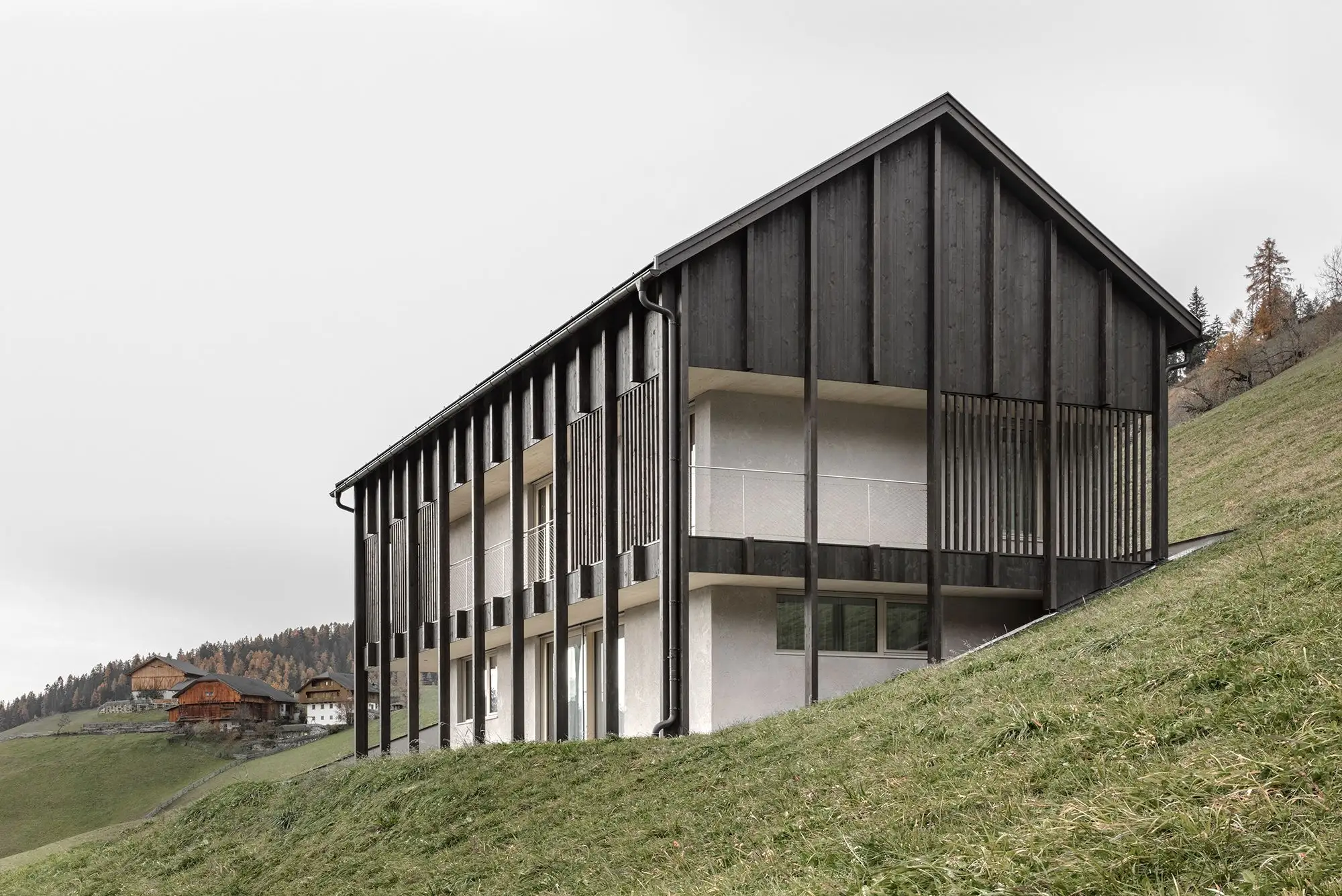 Ciasa Le Fiun 住宅 建筑师 Daniel Ellecosta_1179691_1.webp