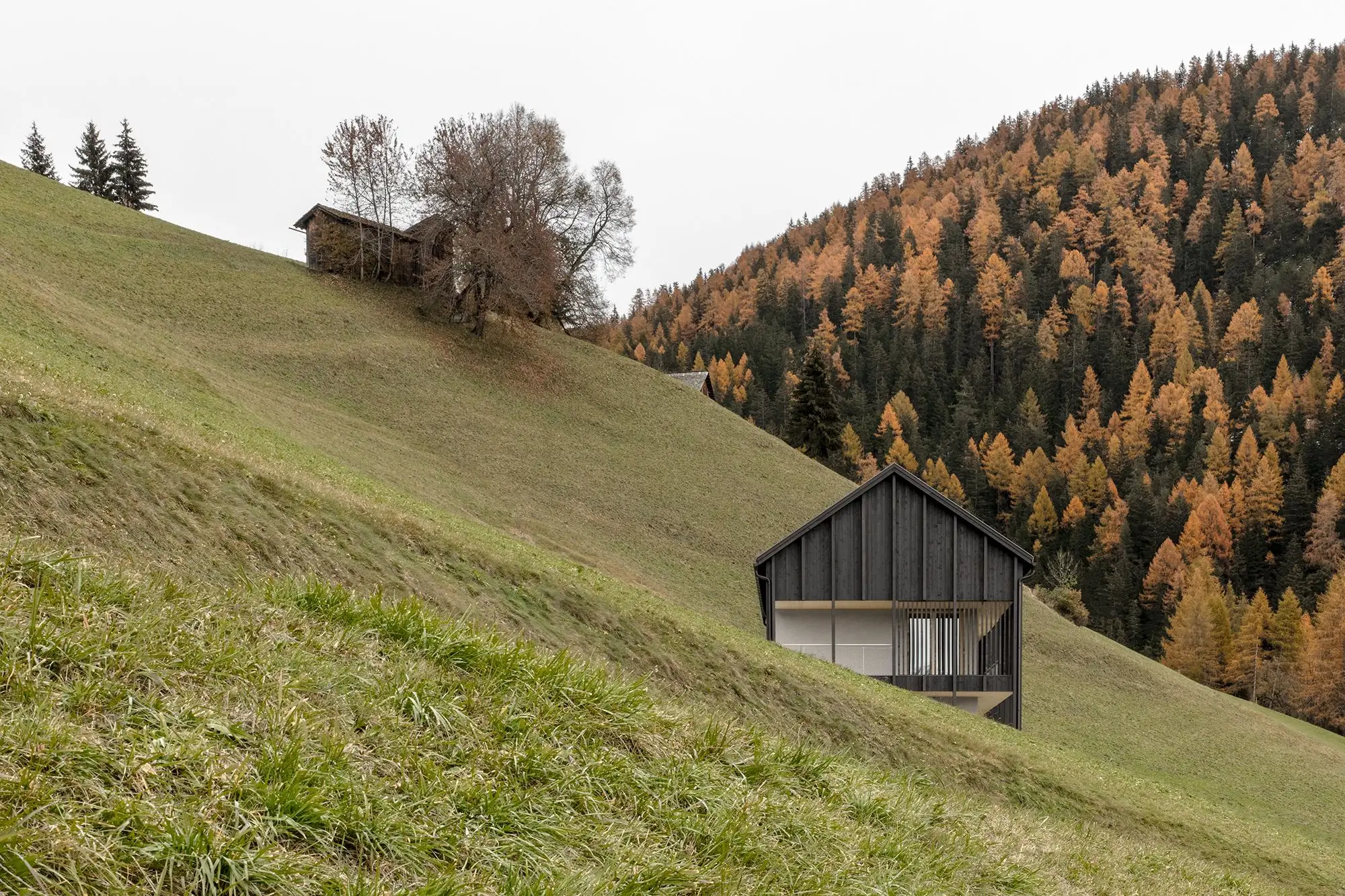 Ciasa Le Fiun 住宅 建筑师 Daniel Ellecosta_1179691_2.webp