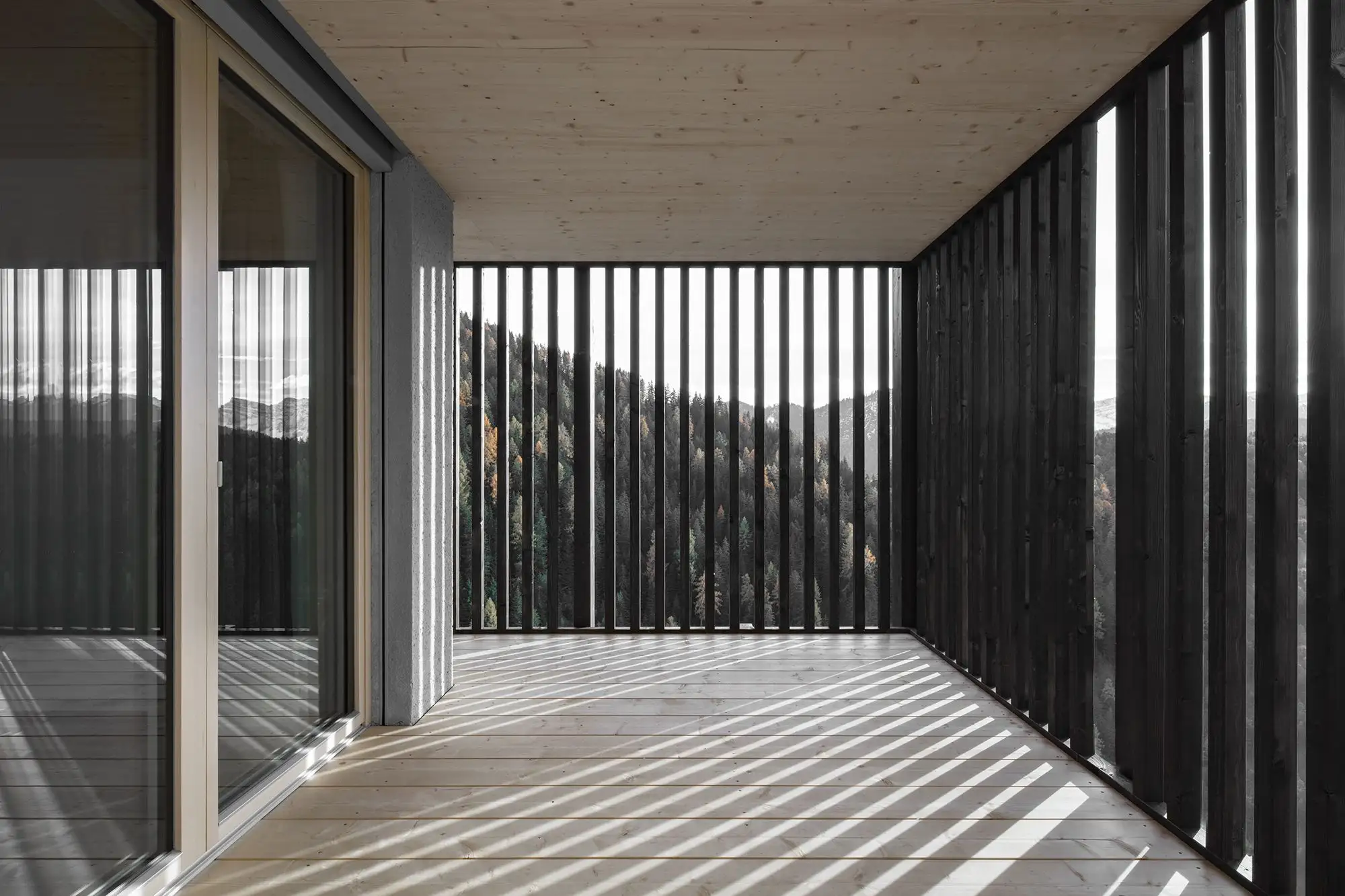 Ciasa Le Fiun 住宅 建筑师 Daniel Ellecosta_1179691_3.webp