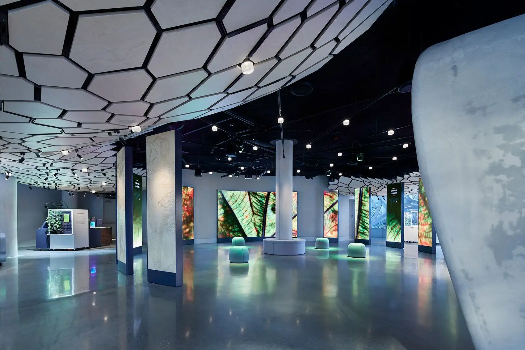 亚马逊总部Understory展厅，西雅图 Graham Baba Architects_05.webp
