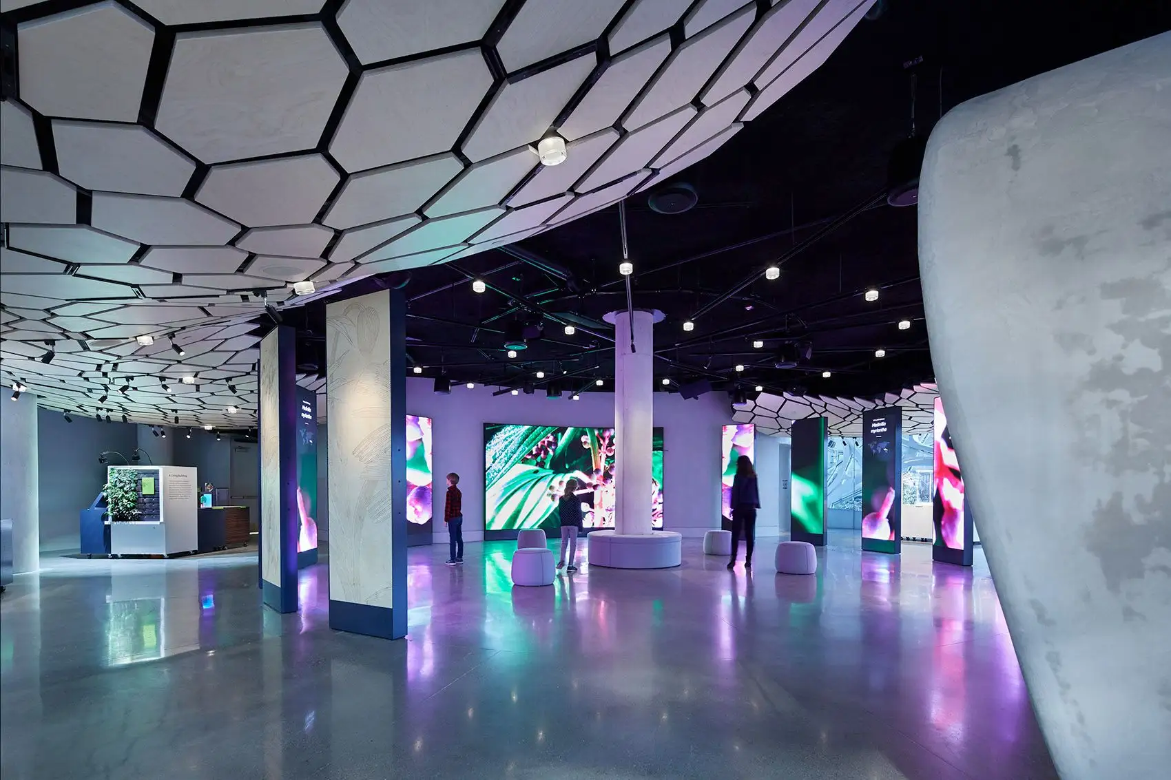 亚马逊总部Understory展厅，西雅图 Graham Baba Architects_06.webp