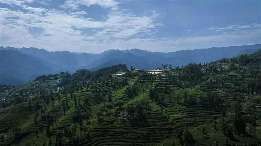 三峡茶旅小镇展示中心---建筑营设计工作室_10448_5.webp
