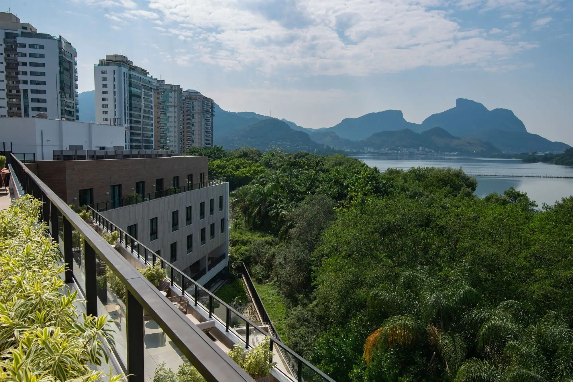 Cora老年公寓 ILPI Península 养老机构 RAF Arquitetura_1170265_6.webp