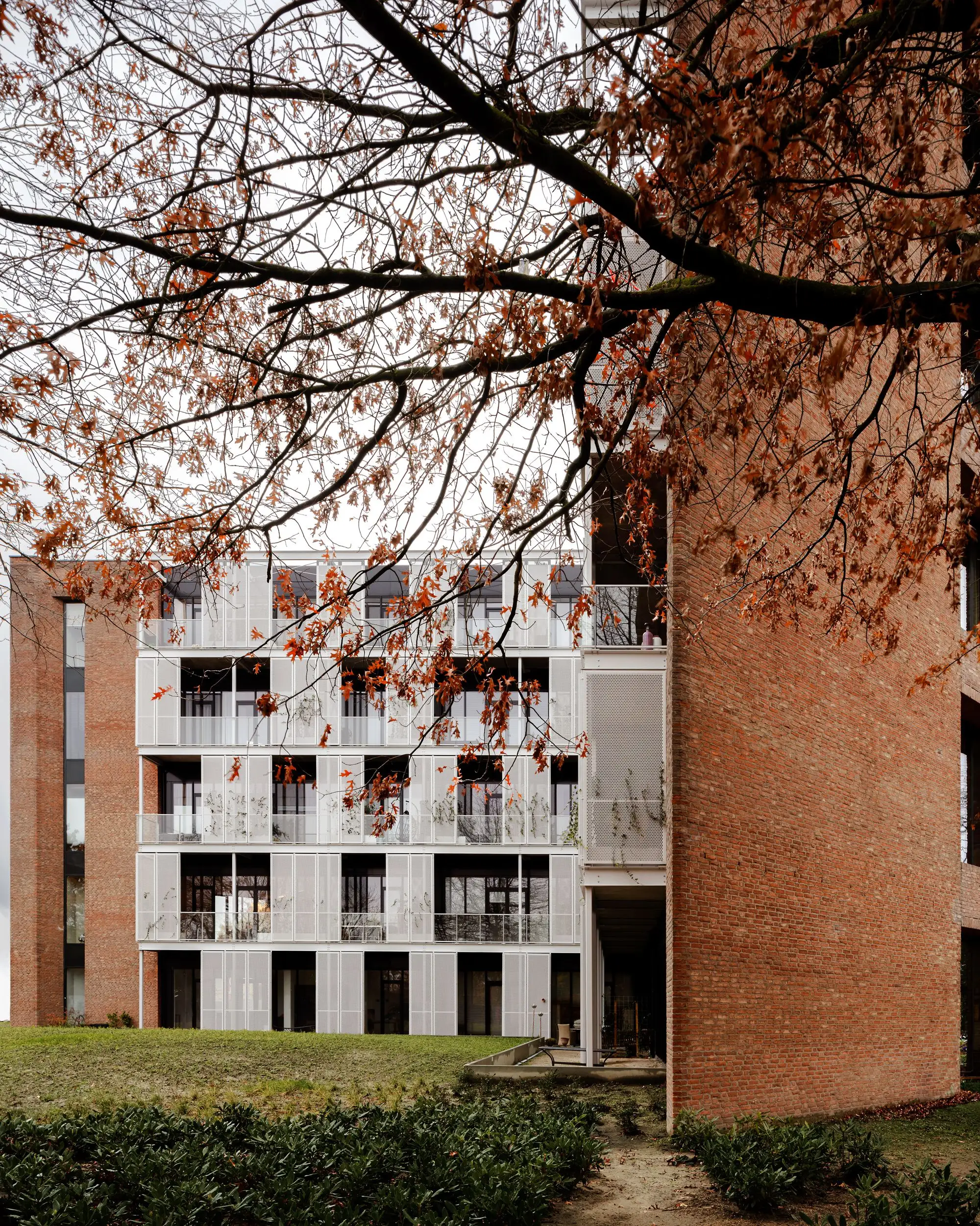Cosun 1 Suikerunie 公寓 EVA architecten_1174073_7.webp