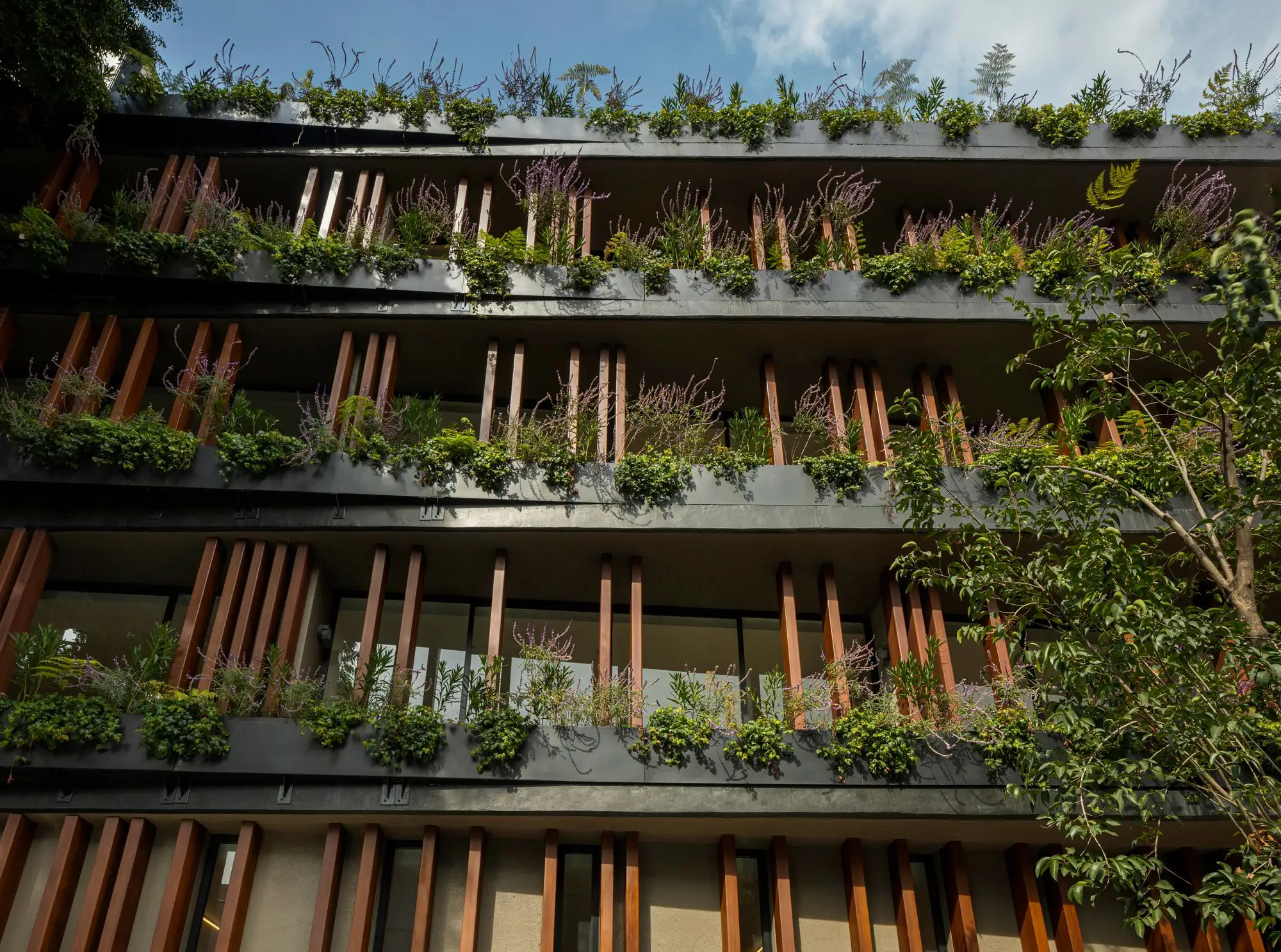 Cova07 大楼 DFArquitectos_1177315_9.webp