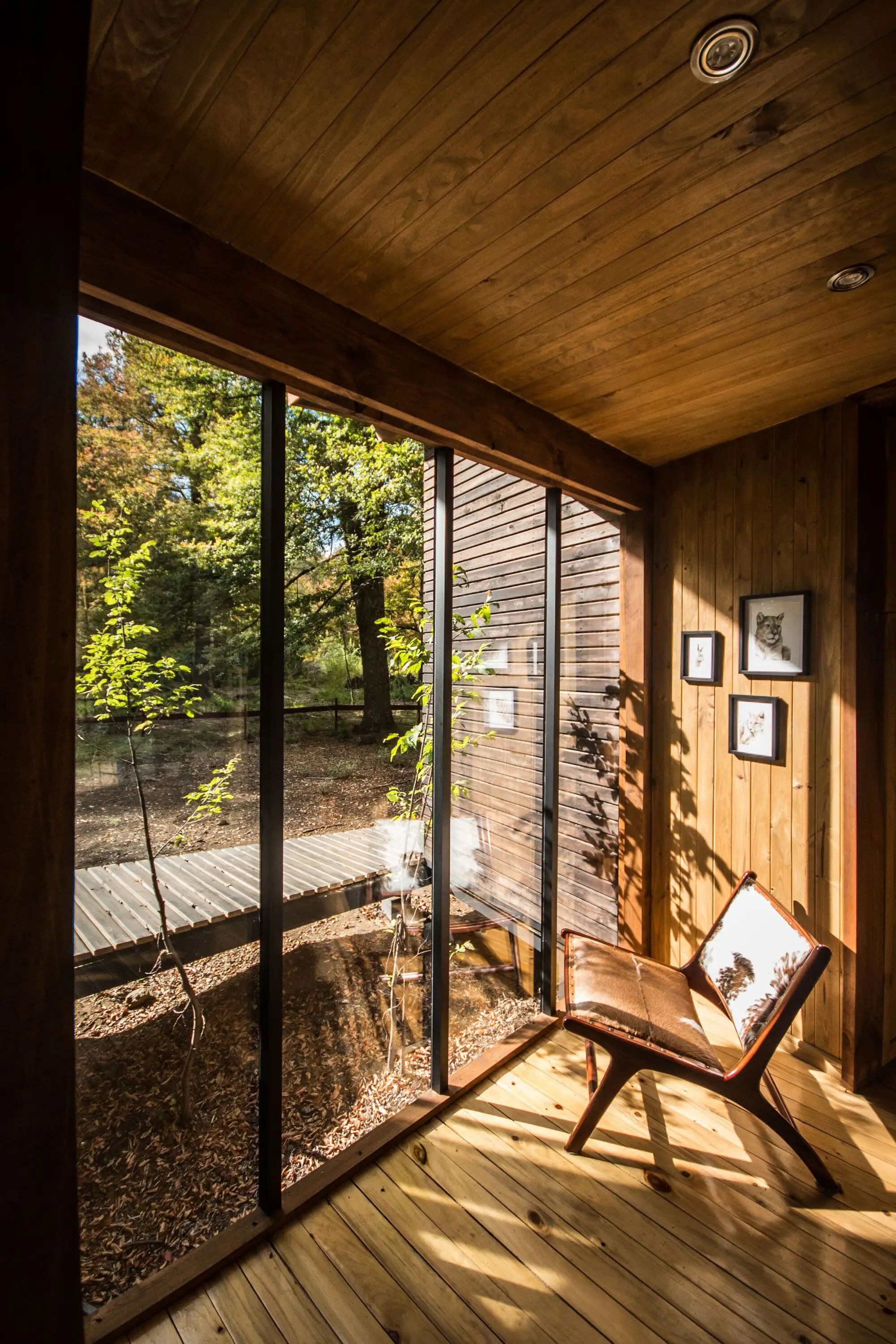 Coyan 庇护所 SAA Arquitectura   Territorio_1178808_4.webp