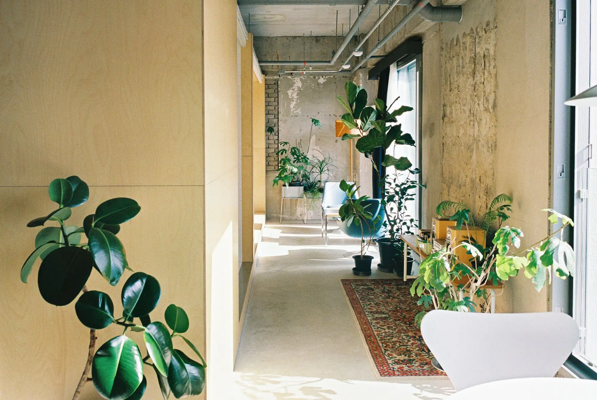 DDepartment 济州店 ARARIO   Schemata Architects   长坂常_1179645_2.webp