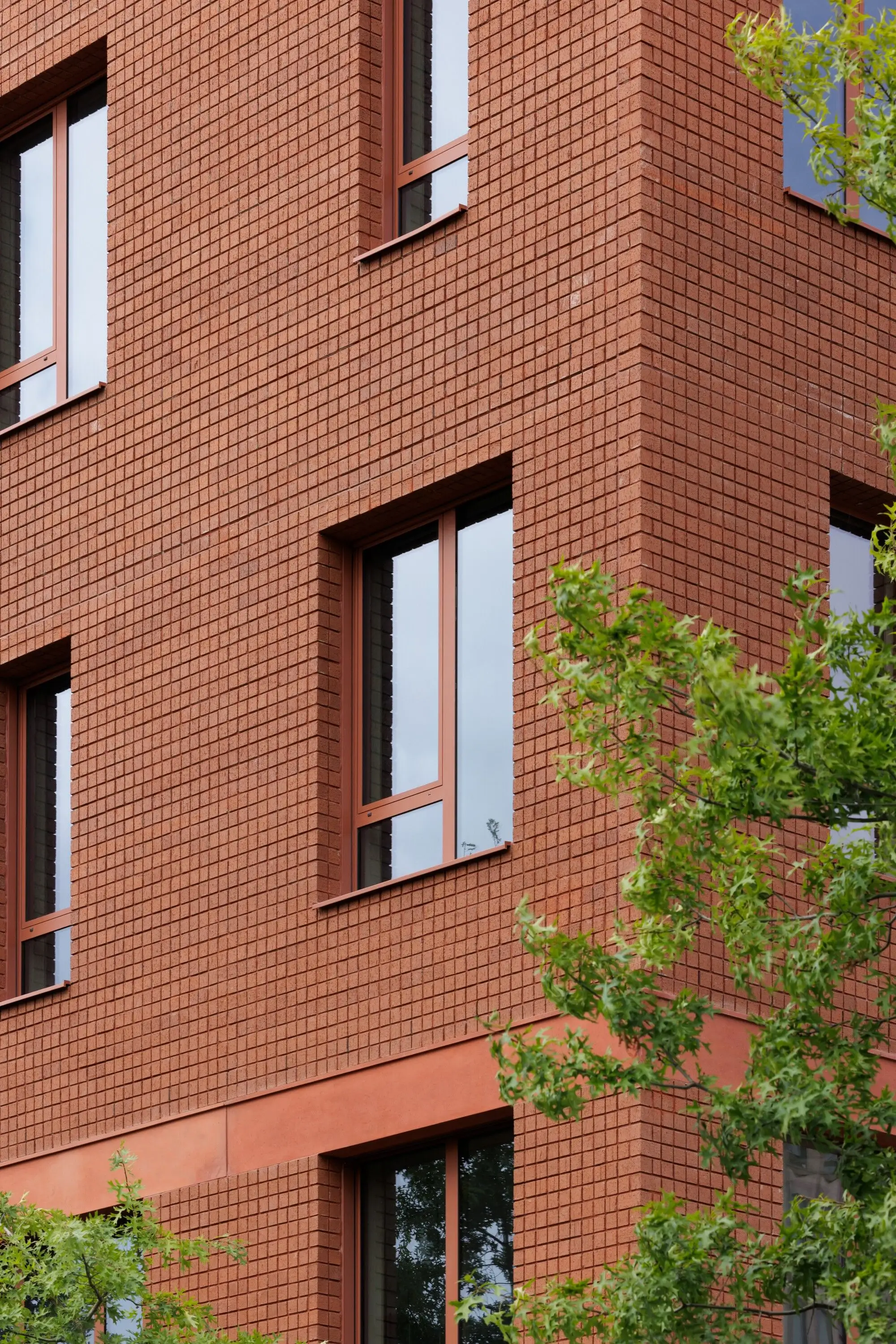 Deleers 校园 SMAK Architects_1183993_6.webp