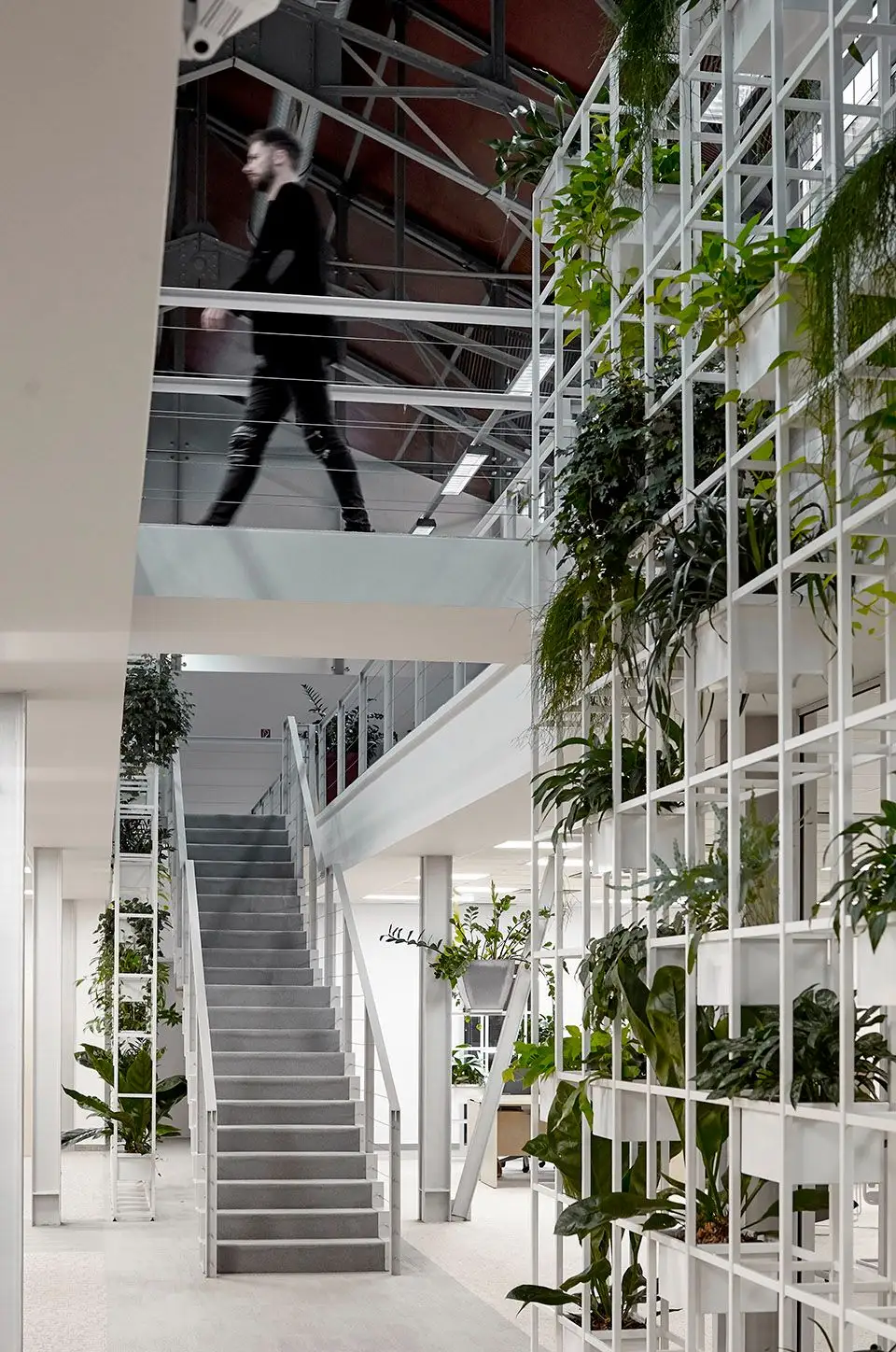 复式办公空间的室内改造，布达佩斯 LAB5 architects_04.webp