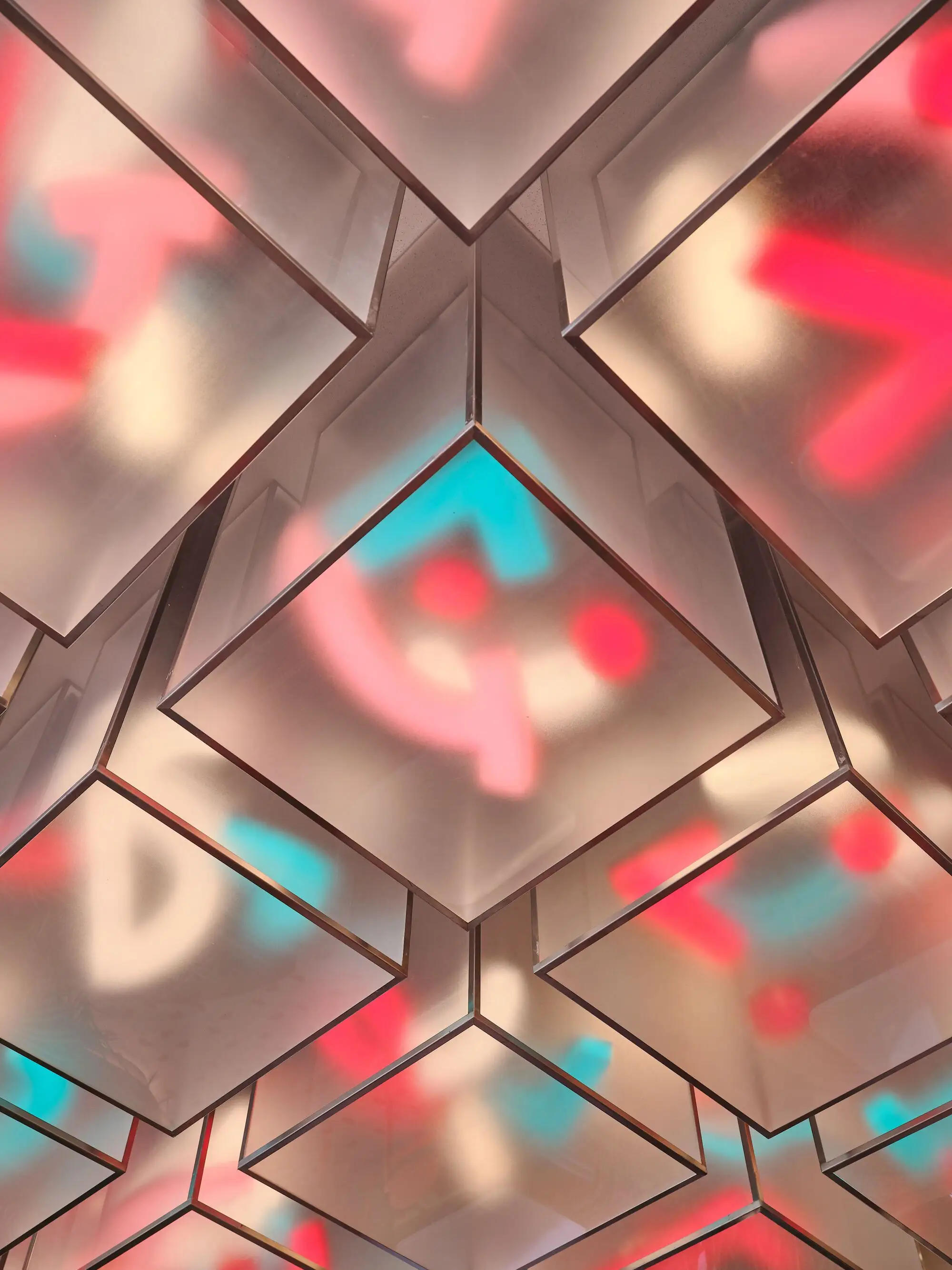 DipnDip 旗舰店 Babnimnim Design Studio_1169438_13.webp