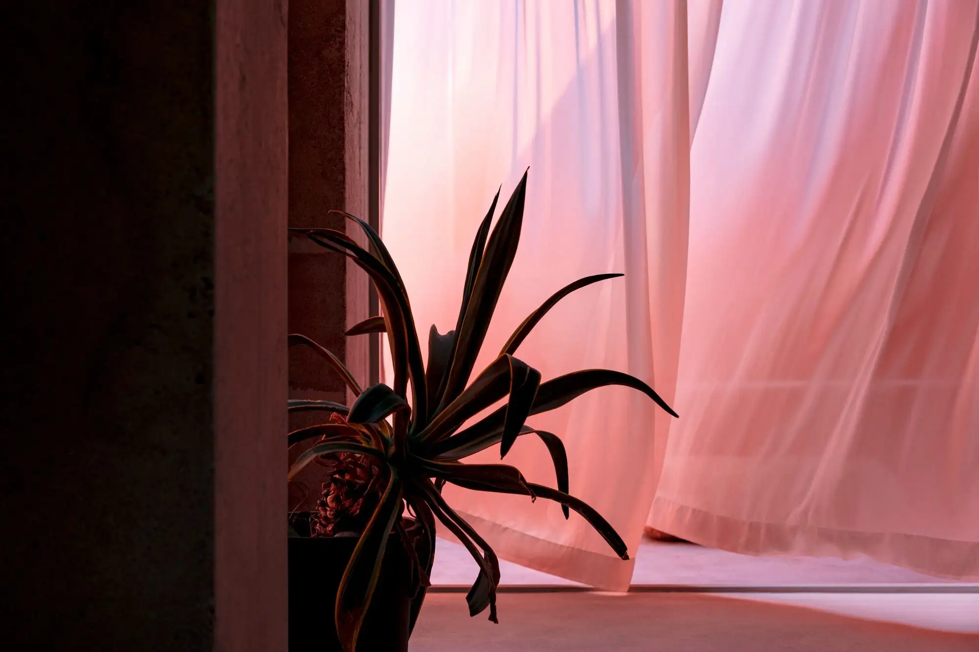 Doldam 住宅 one-aftr_1171318_17.webp