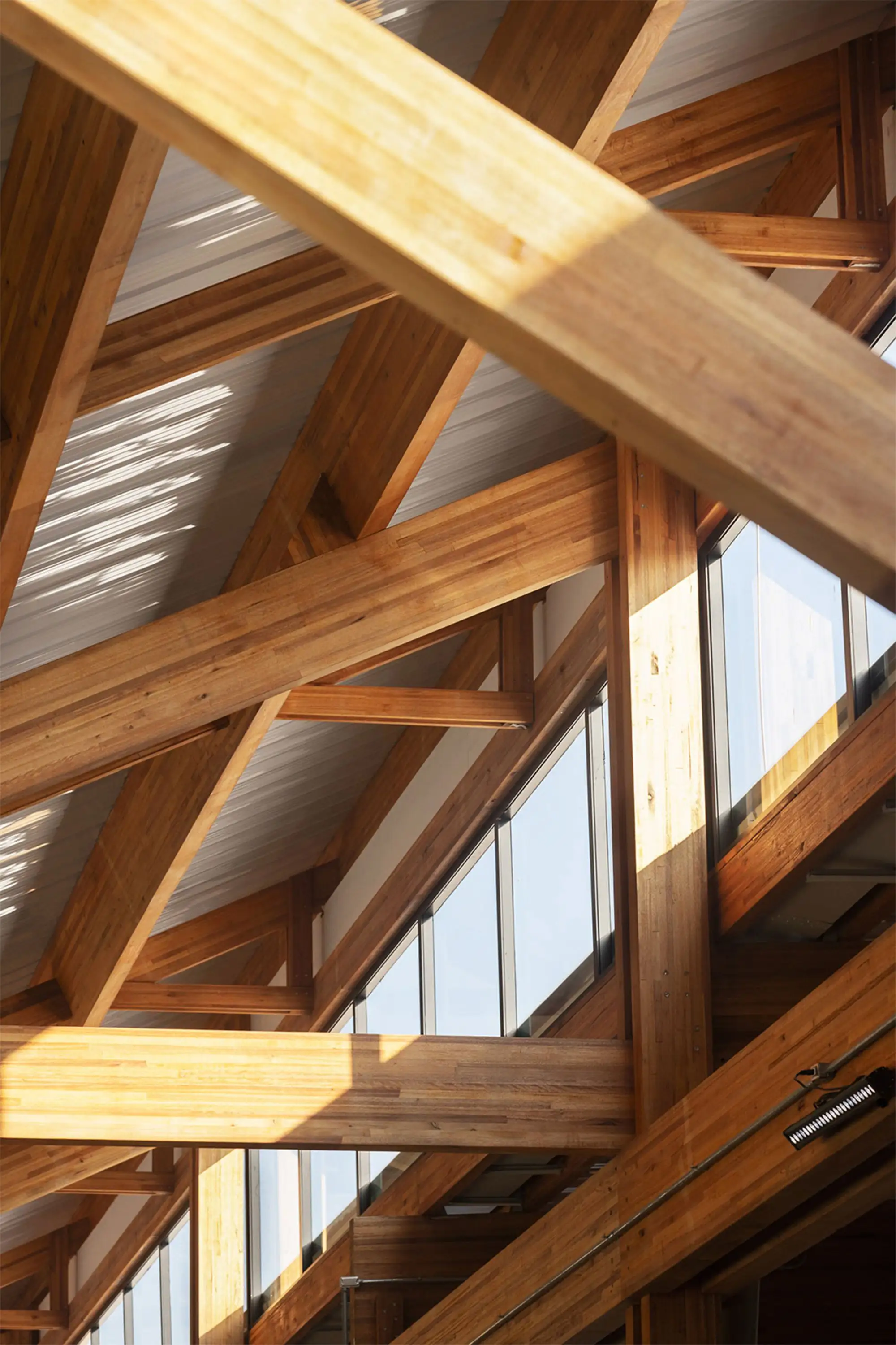 Doutor Leite Lopes 州立机场 Bacco Arquitetos Associados_1184576_18.webp