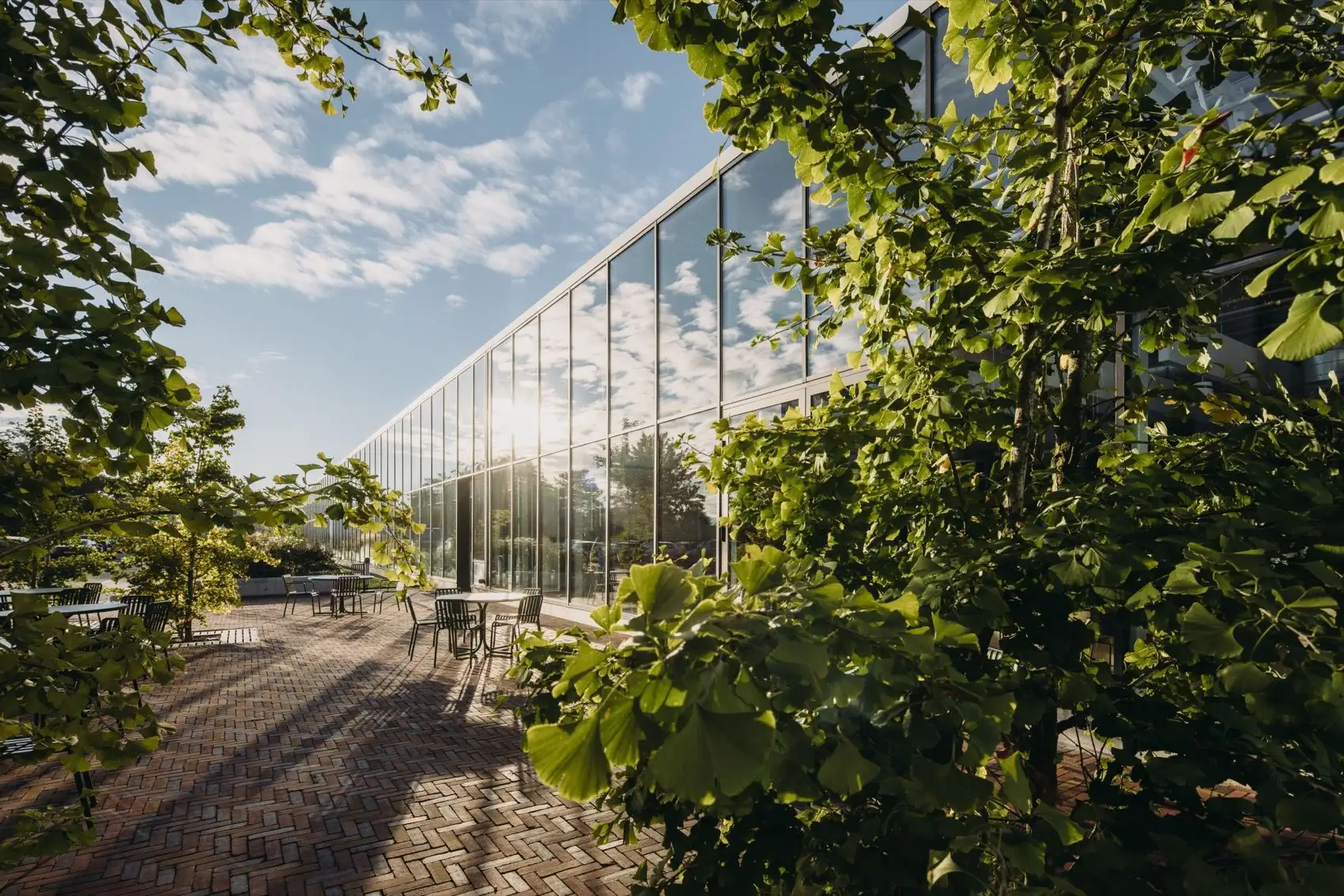 布莱斯韦克Anthura总部更新，荷兰 Atelier PRO architects_06.webp