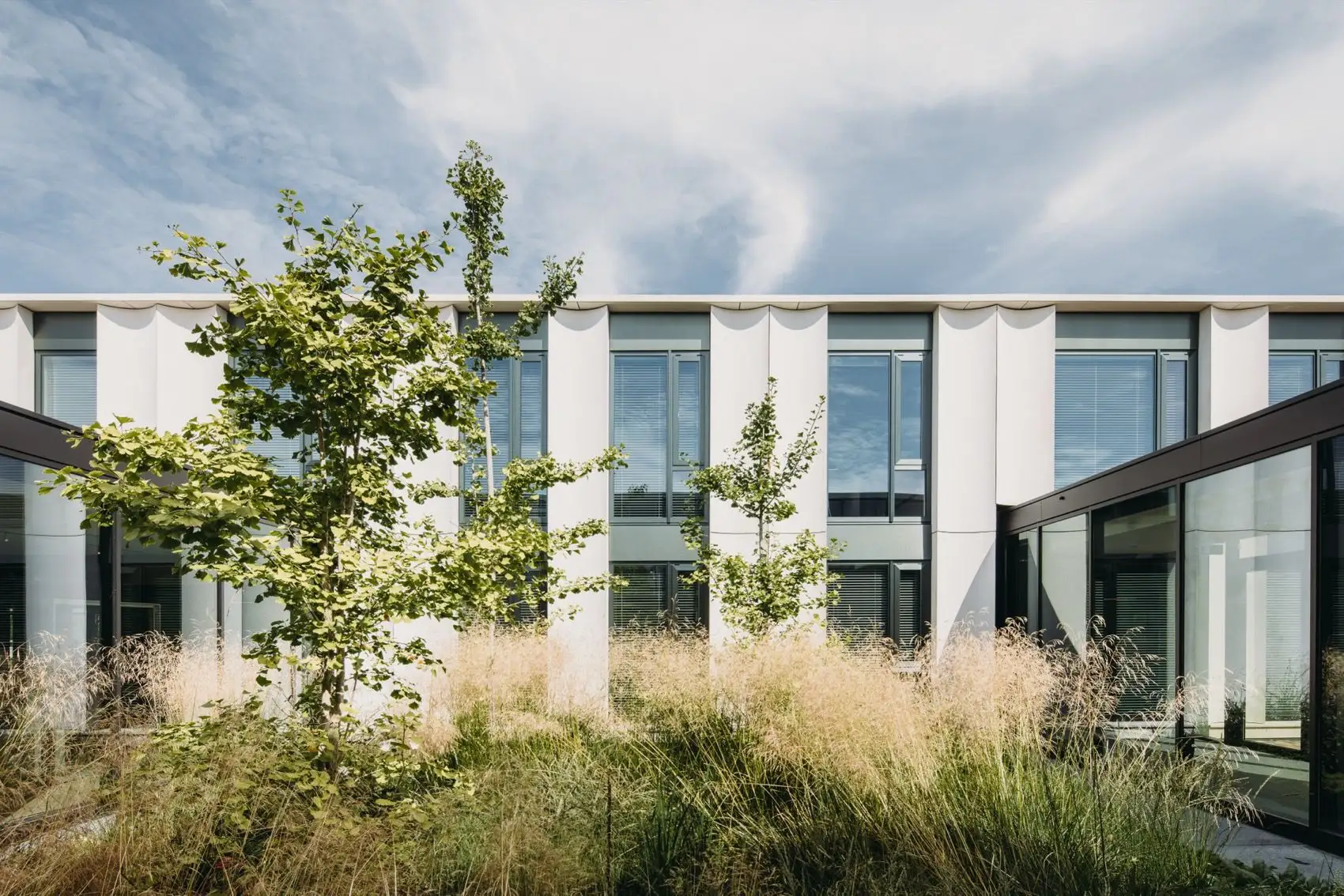 布莱斯韦克Anthura总部更新，荷兰 Atelier PRO architects_18.webp