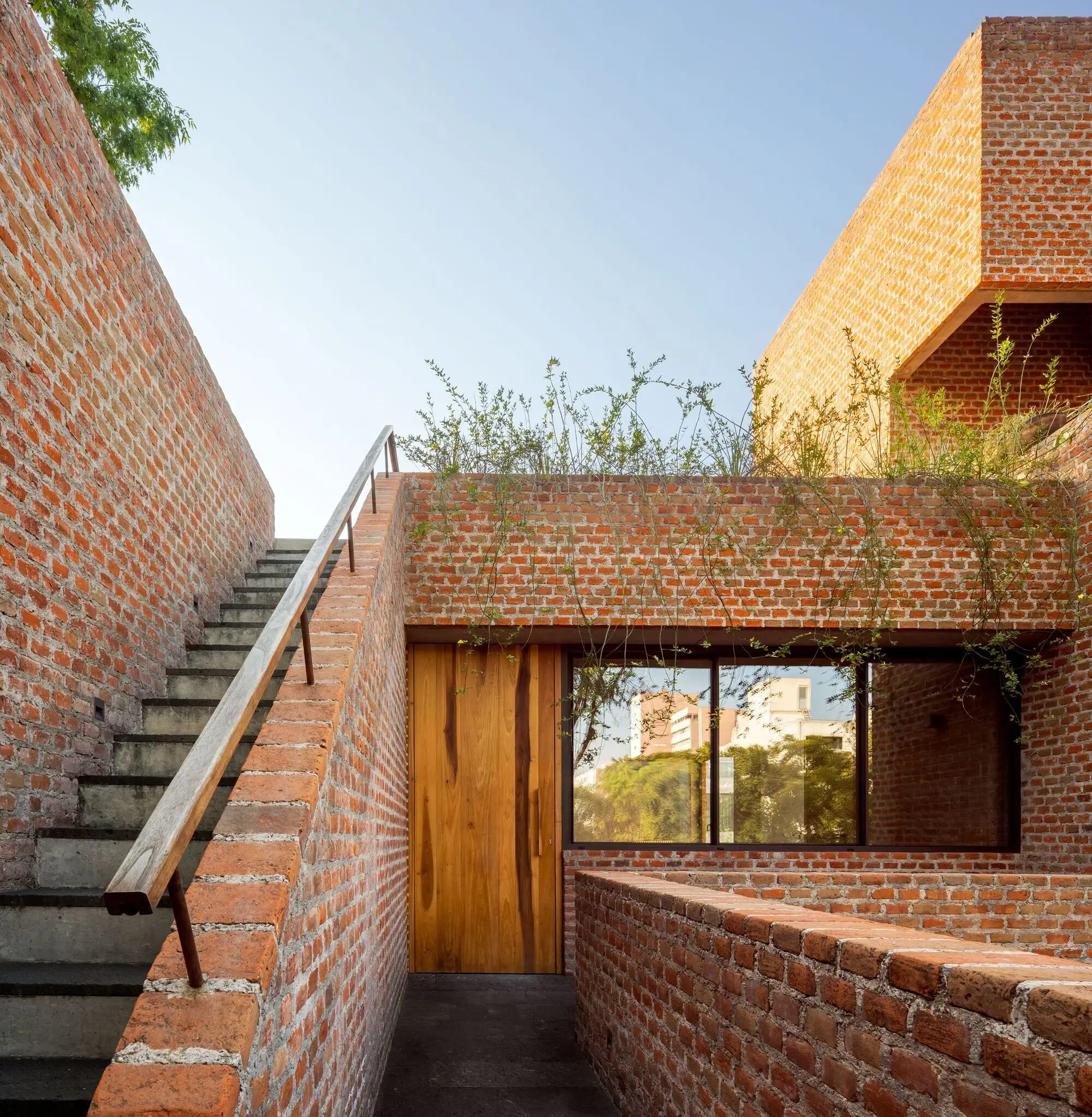 E8 住宅 Meir Lobaton Corona   Rafael Ortiz Cervantes_1173529_3.webp