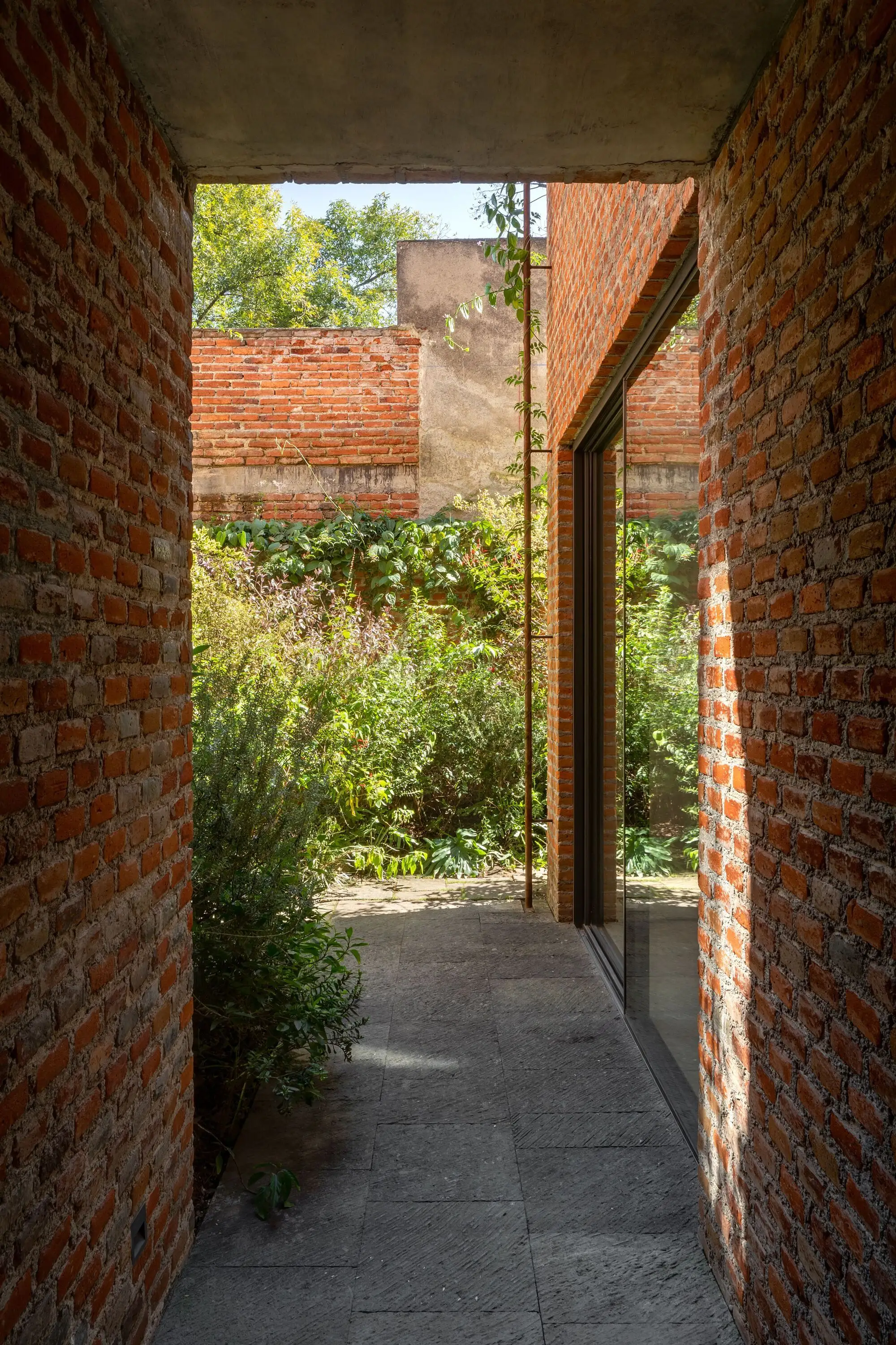 E8 住宅 Meir Lobaton Corona   Rafael Ortiz Cervantes_1173529_13.webp