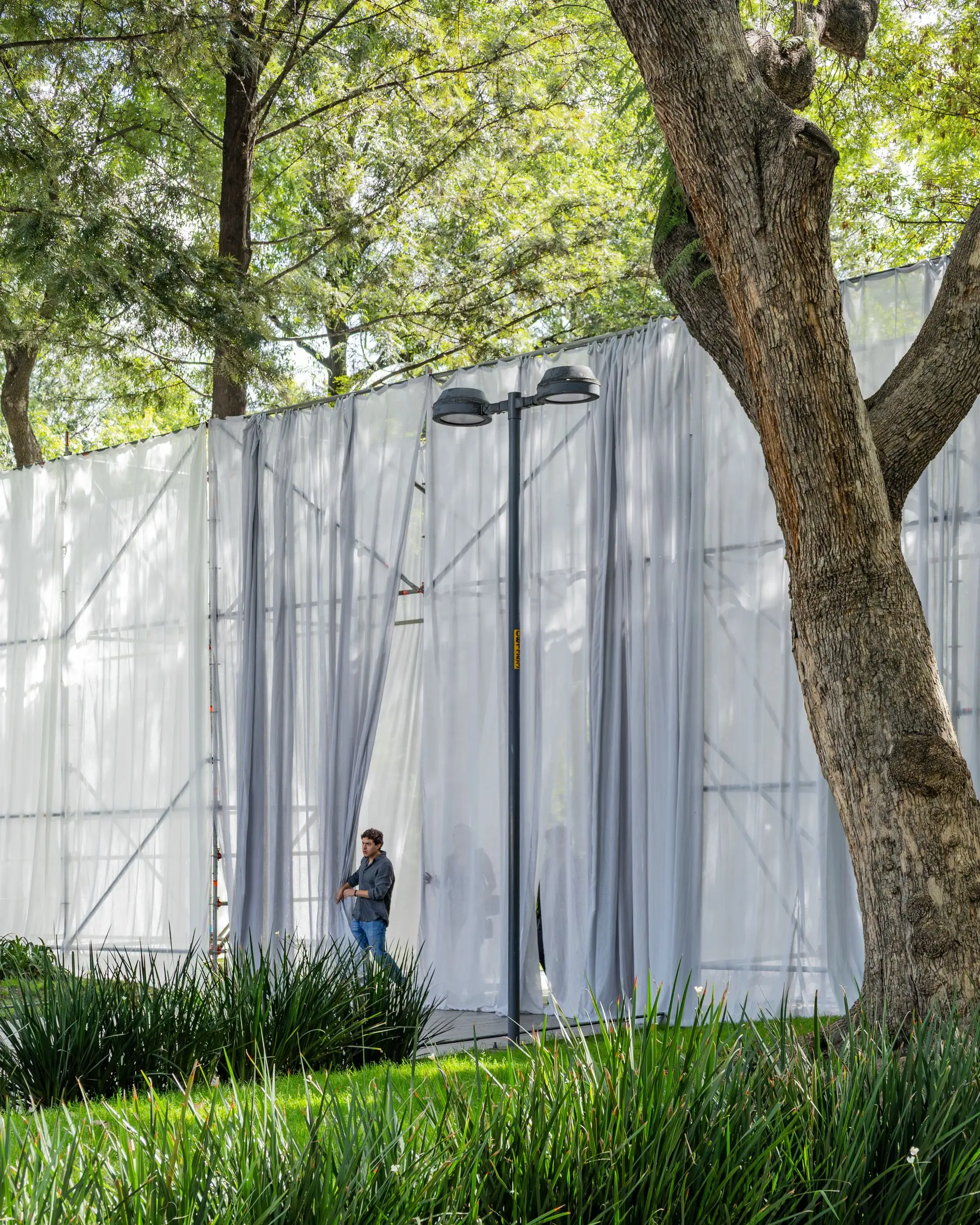 El Muro 展厅 ARQLIQ arquitetura   Entremeios Arquitetura   Már_1185954_4.webp