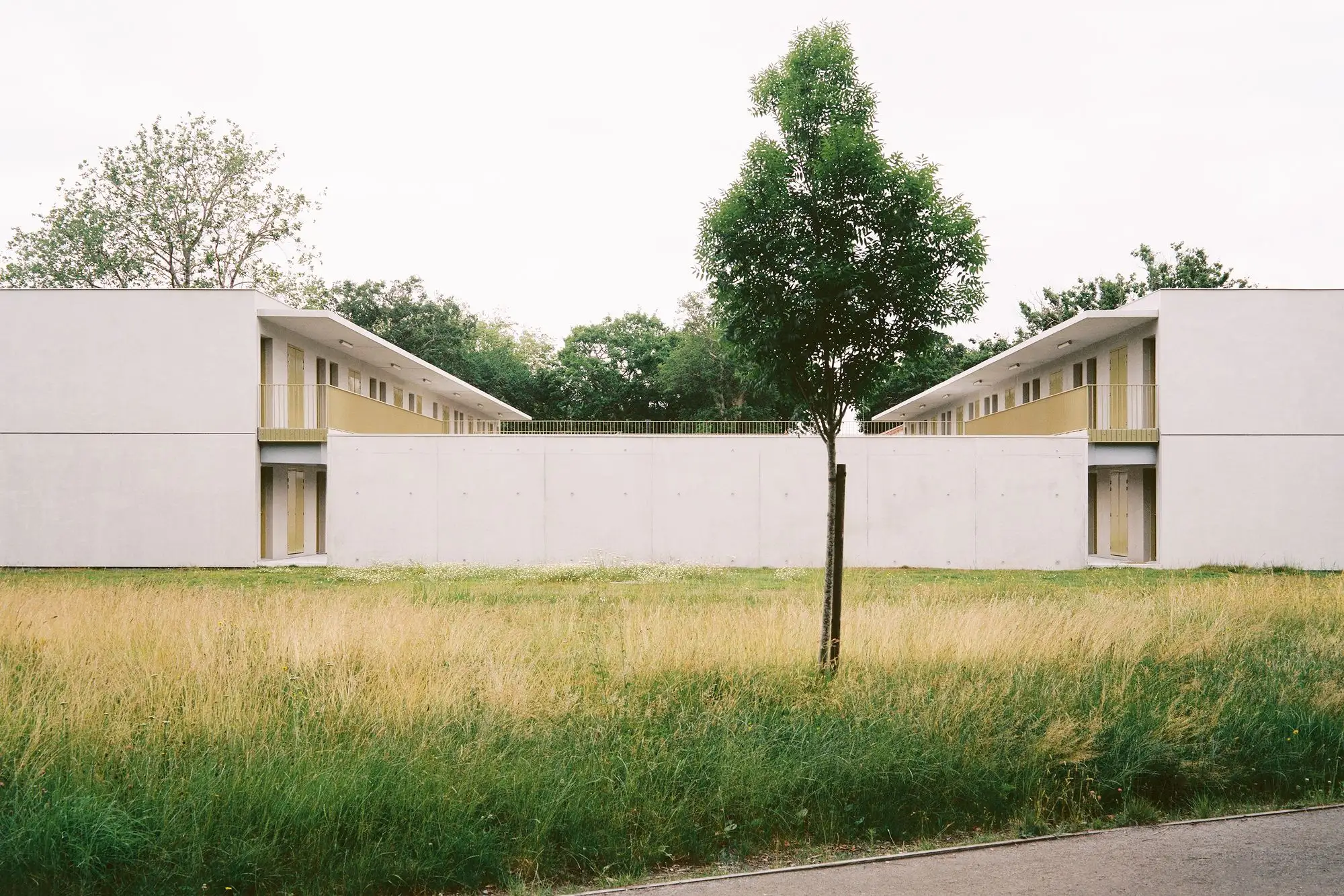 ESID BCC 住宅 Faye Architectes  Associes_1172958_13.webp