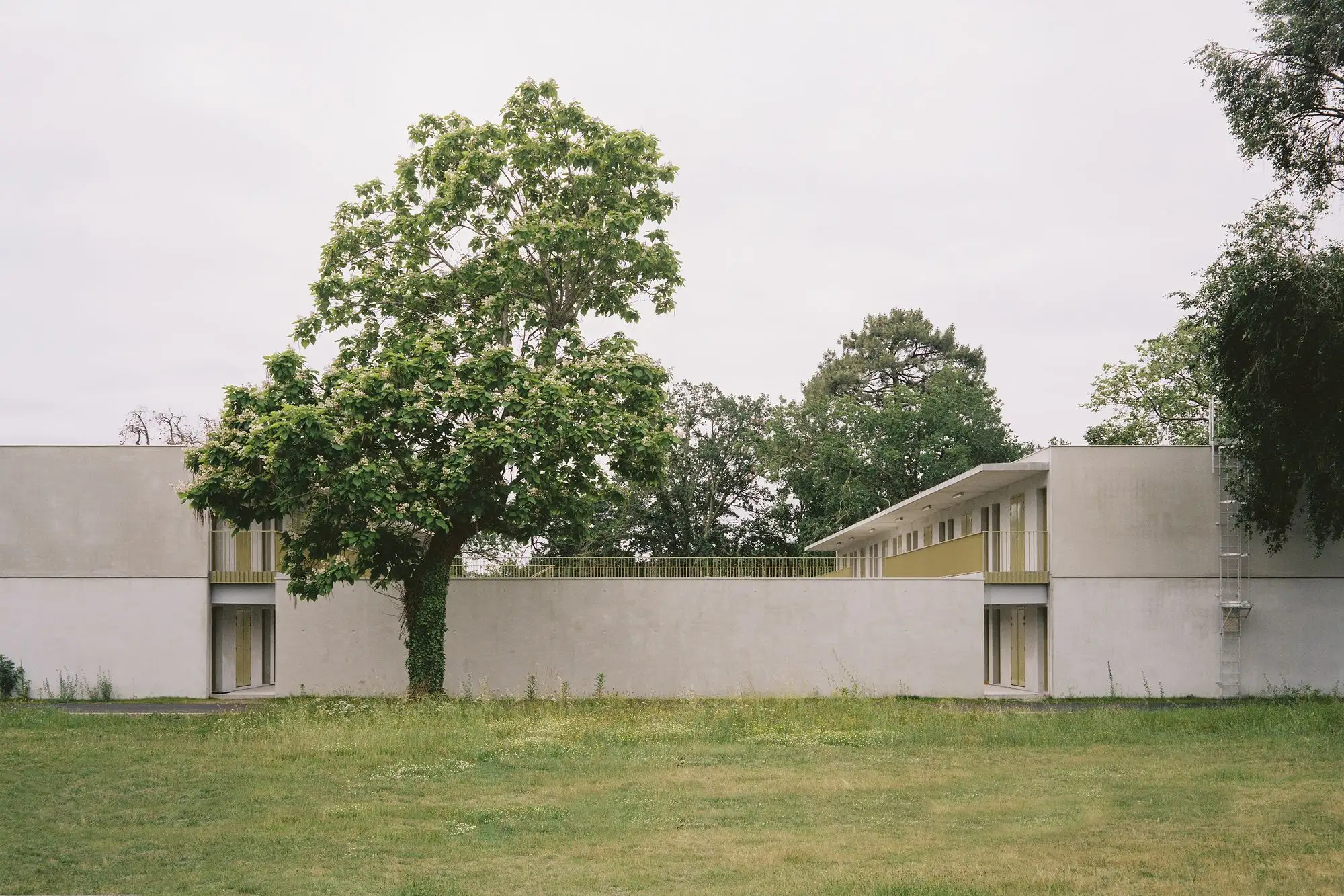 ESID BCC 住宅 Faye Architectes  Associes_1172958_14.webp