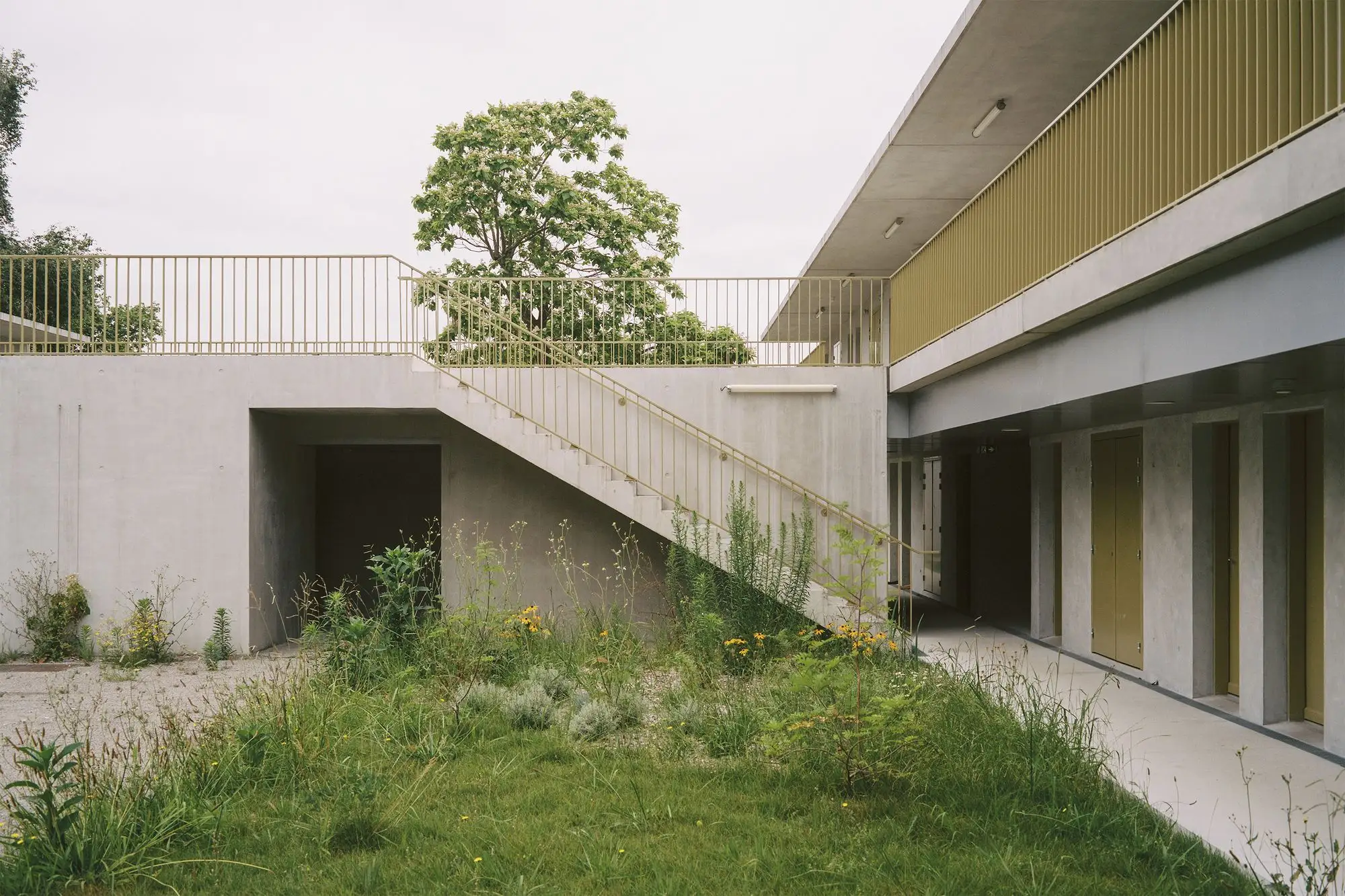 ESID BCC 住宅 Faye Architectes  Associes_1172958_3.webp