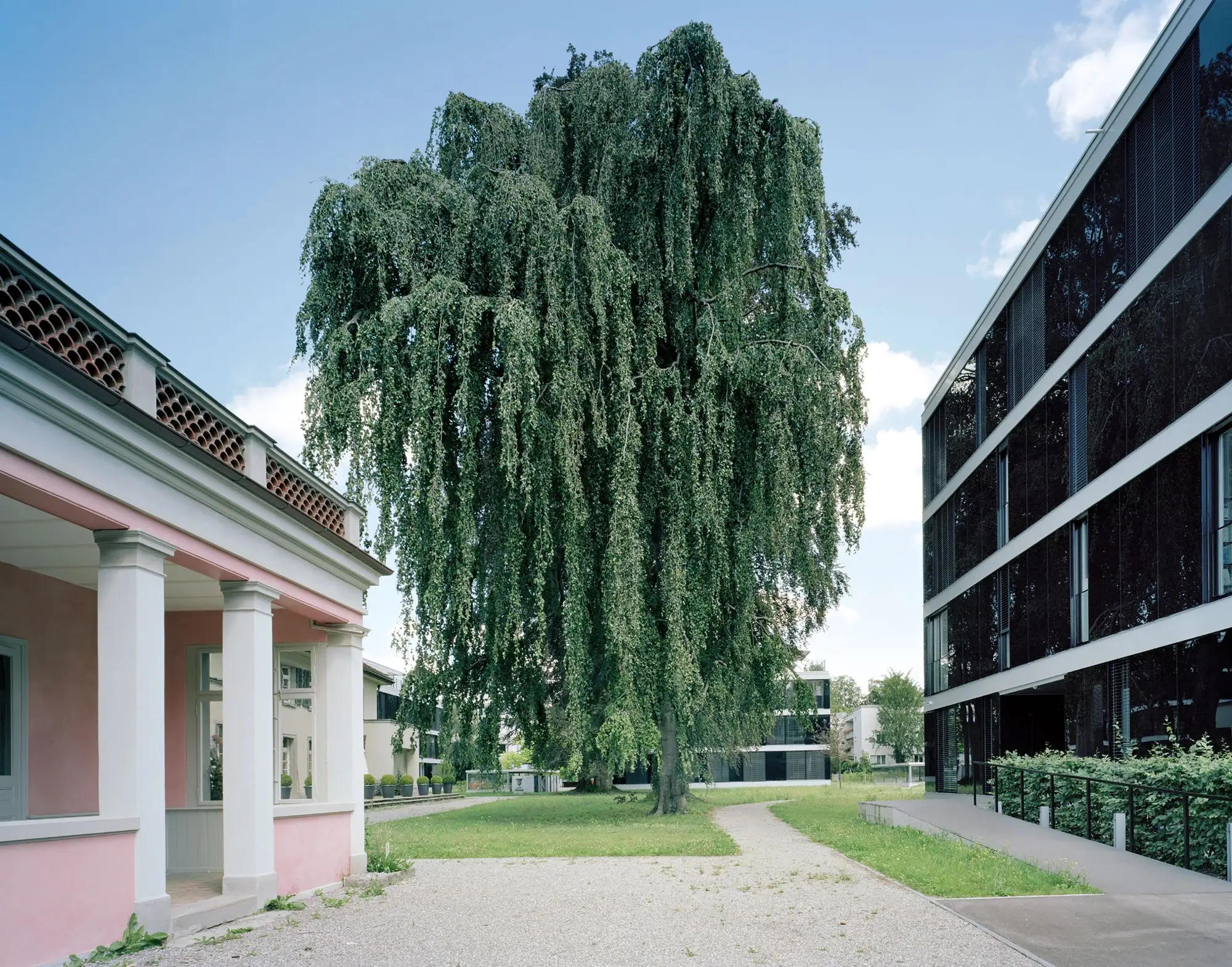 Fehlman 庄园二期 Bob Gysin Partner BGP_1179795_22.webp