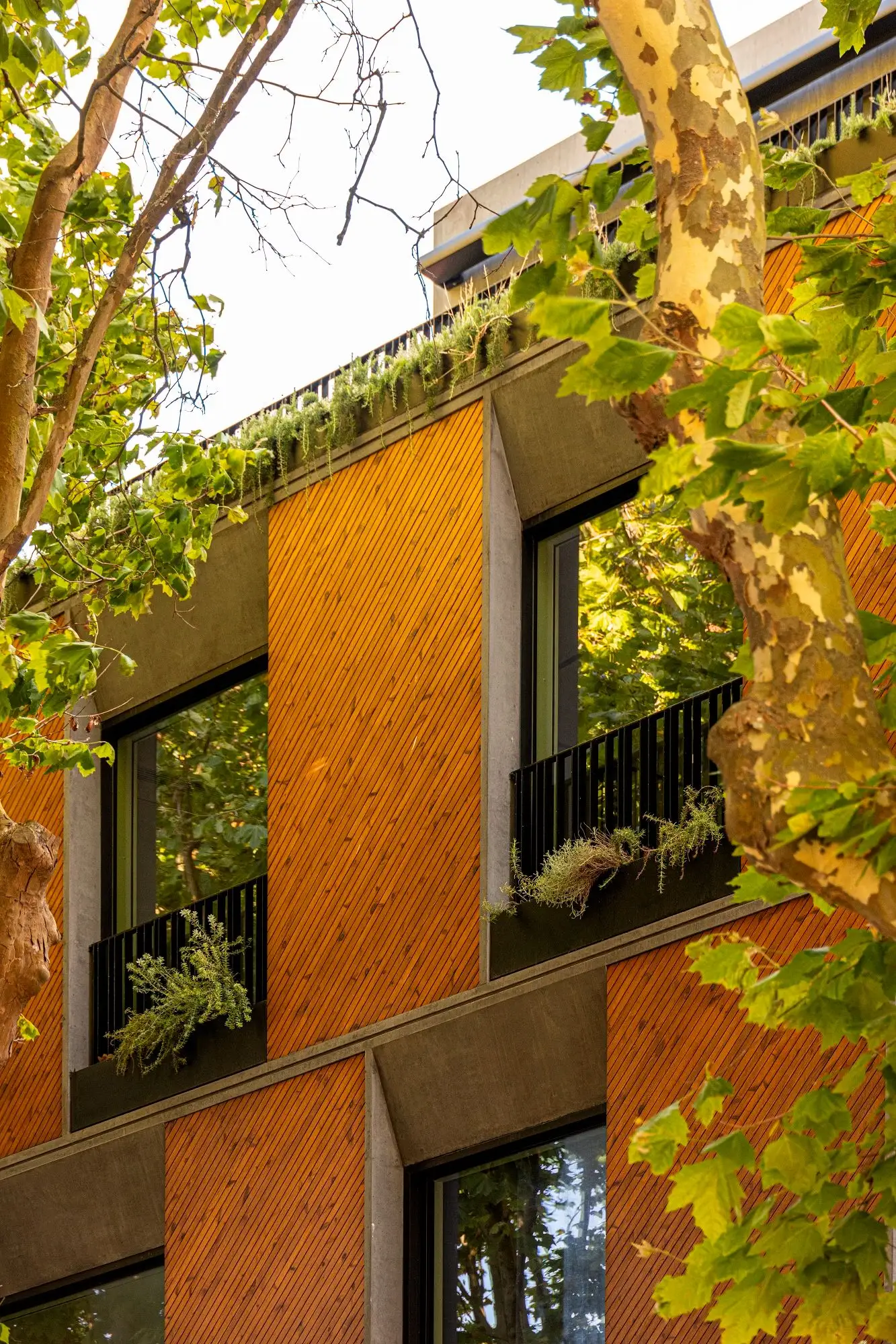 Foz 351住宅楼 dEMM Arquitectura_1169476_11.webp