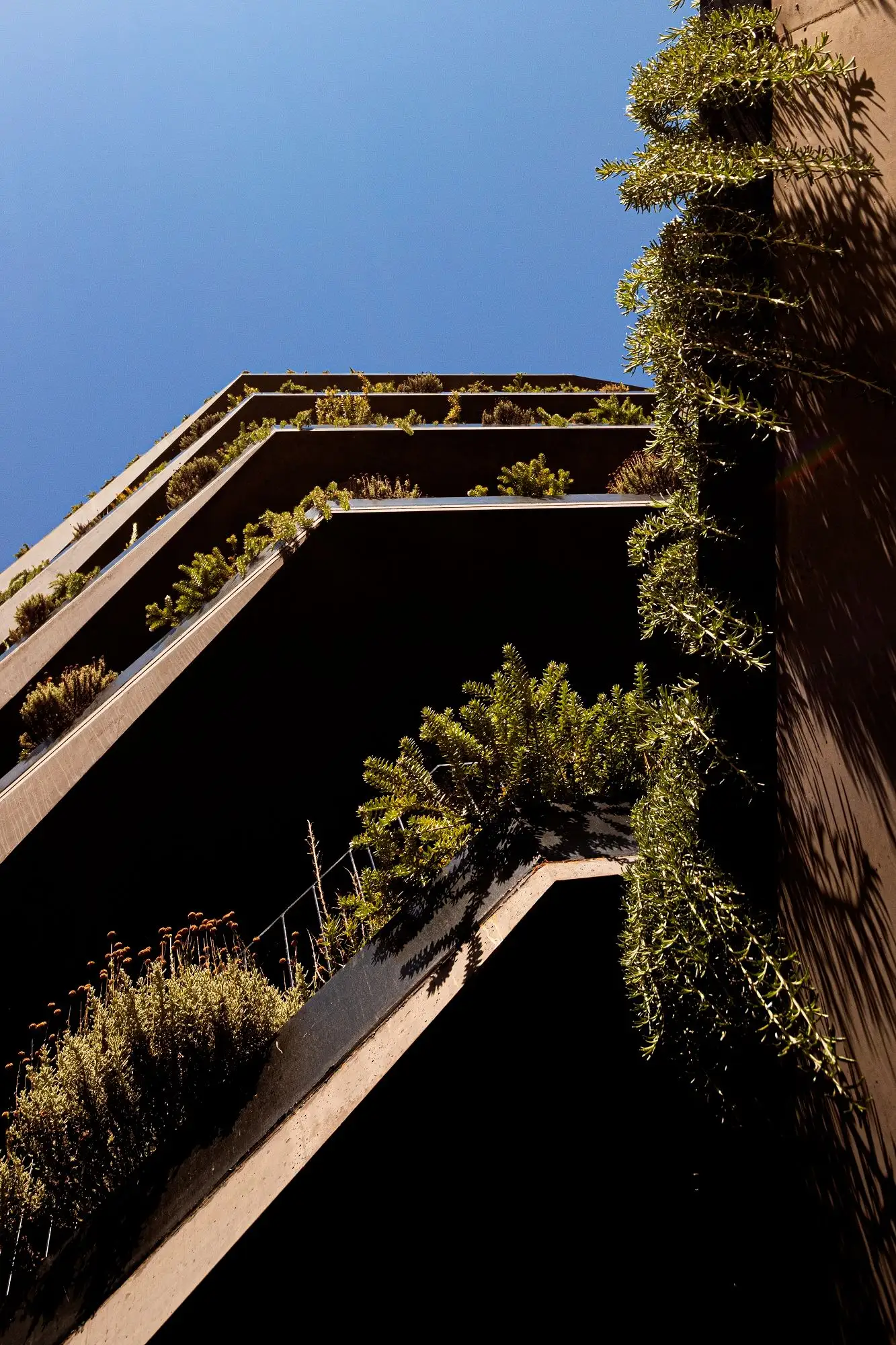 Foz 351住宅楼 dEMM Arquitectura_1169476_9.webp