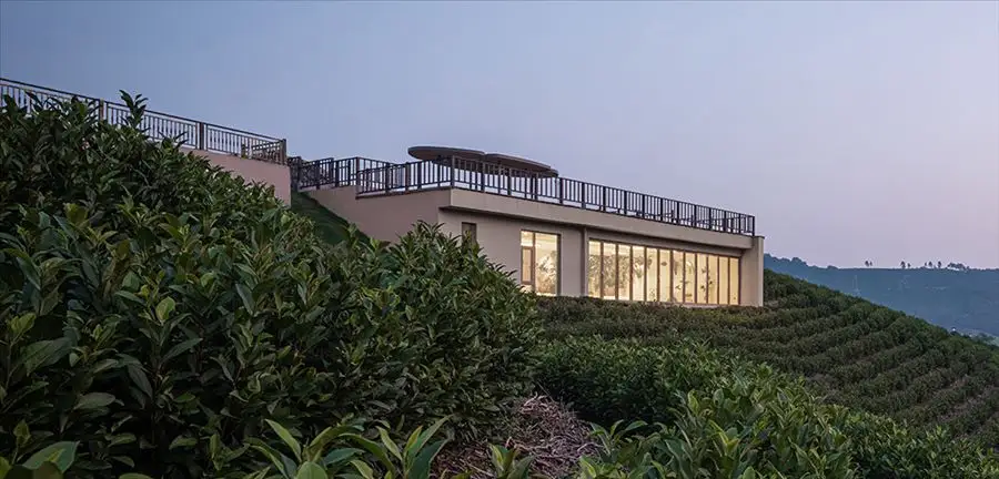 一片茶叶缘起的田园小筑---HATCH Architects_8304_1.webp