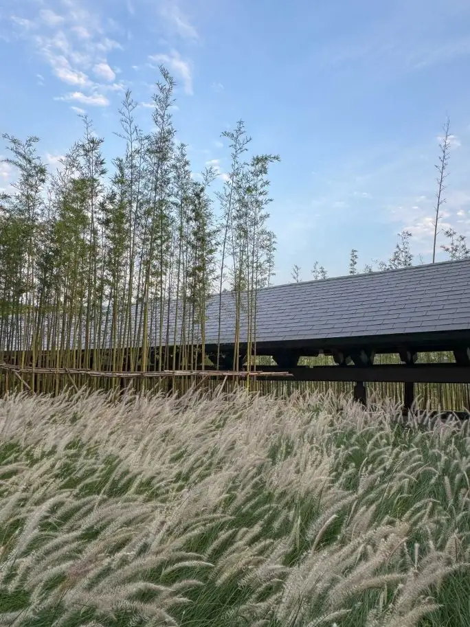 “龙脊” - 地中海黑龙滩度假酒店：以流动的廊道连接建筑与自然，独特体验由此开启---AIM_11355_10.webp