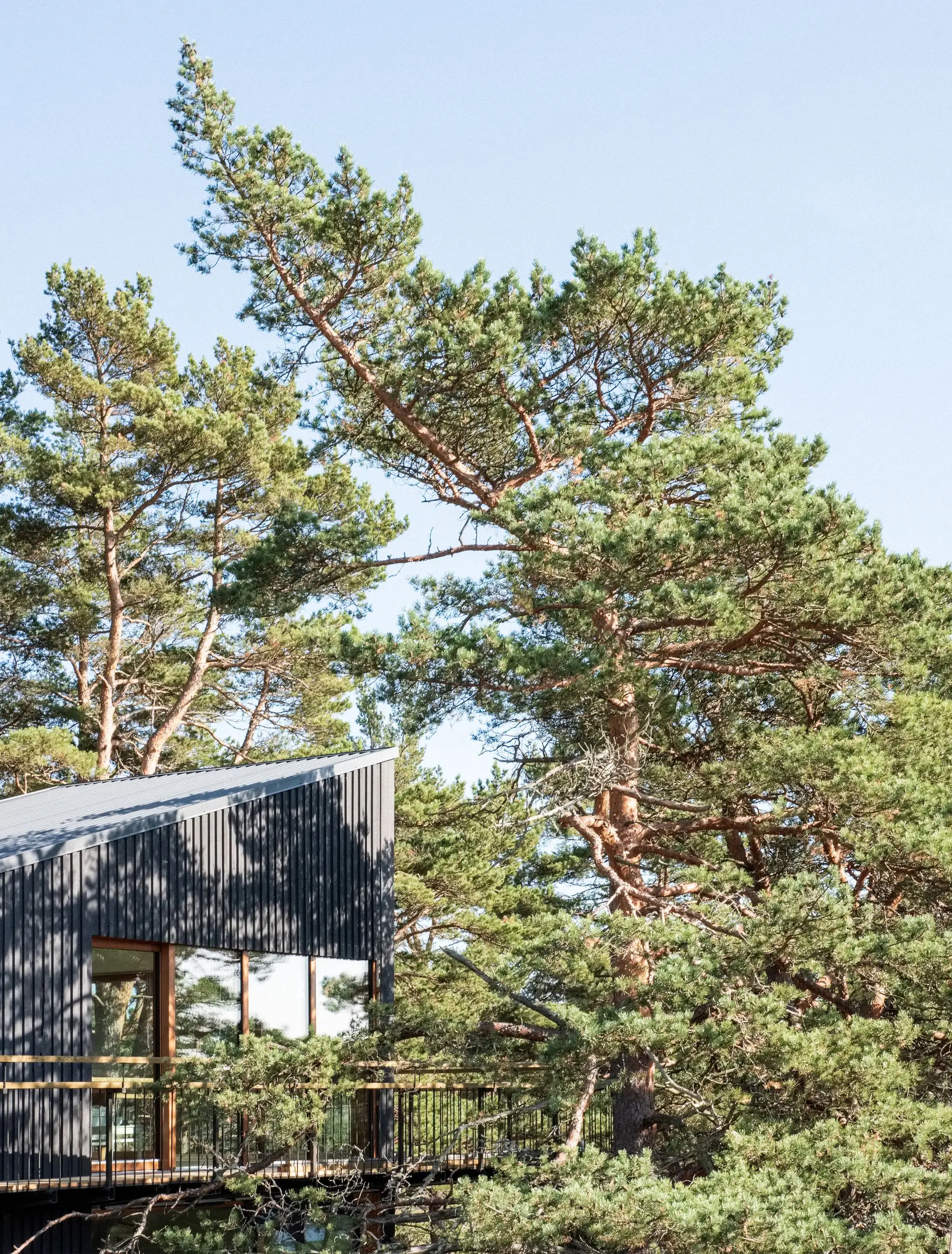 Furuholmen 别墅 STRÅ Arkitekter   Arkitekt Sarita Poptani_1172897_13.webp